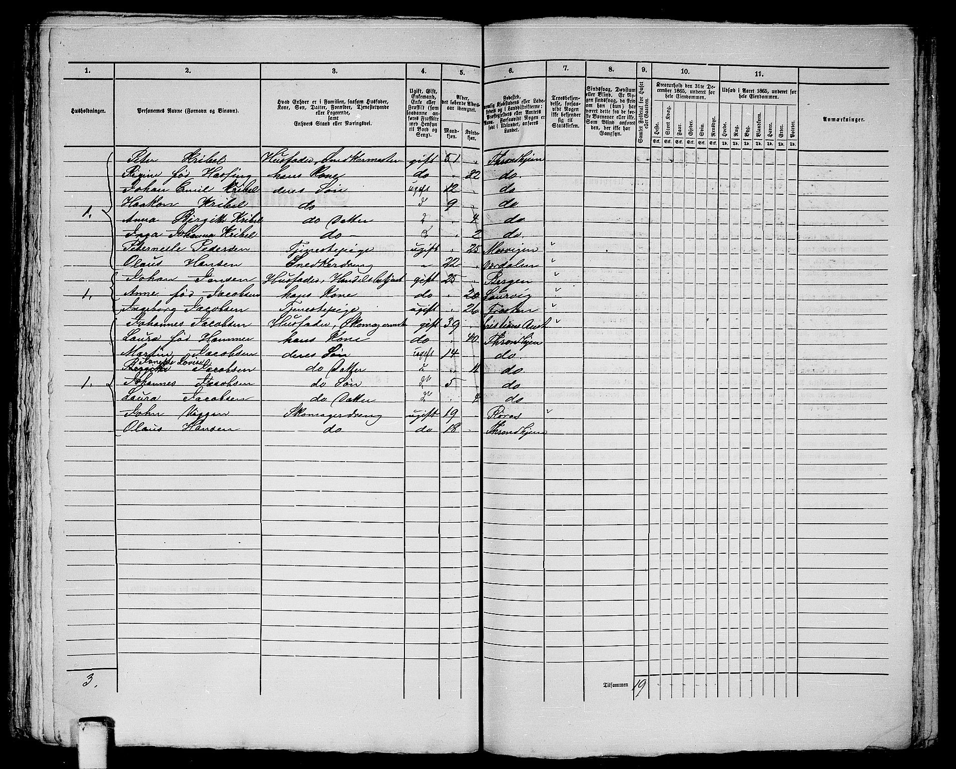 RA, Folketelling 1865 for 1601 Trondheim kjøpstad, 1865, s. 430