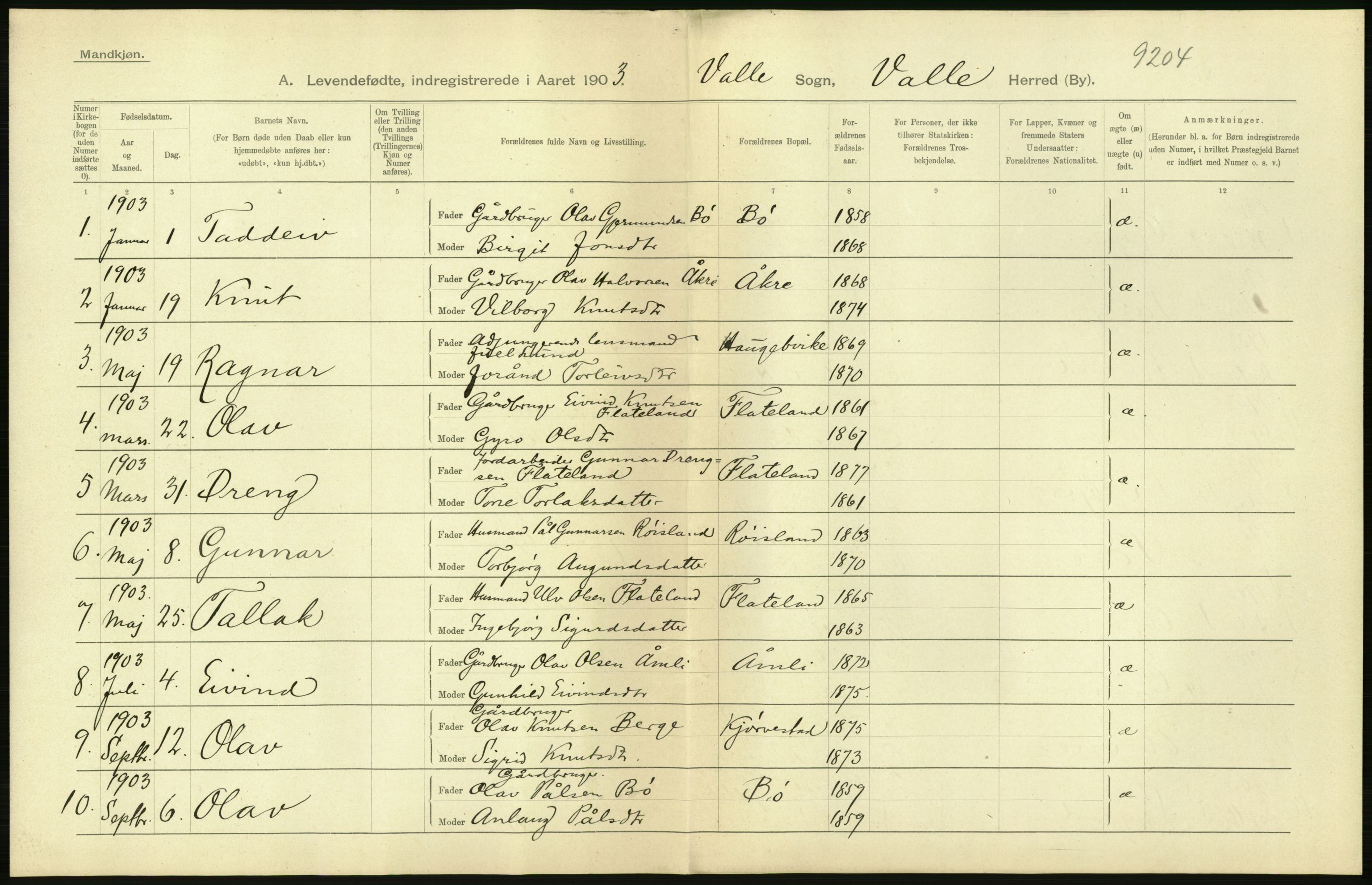 Statistisk sentralbyrå, Sosiodemografiske emner, Befolkning, AV/RA-S-2228/D/Df/Dfa/Dfaa/L0010: Nedenes amt: Fødte, gifte, døde, 1903, s. 78