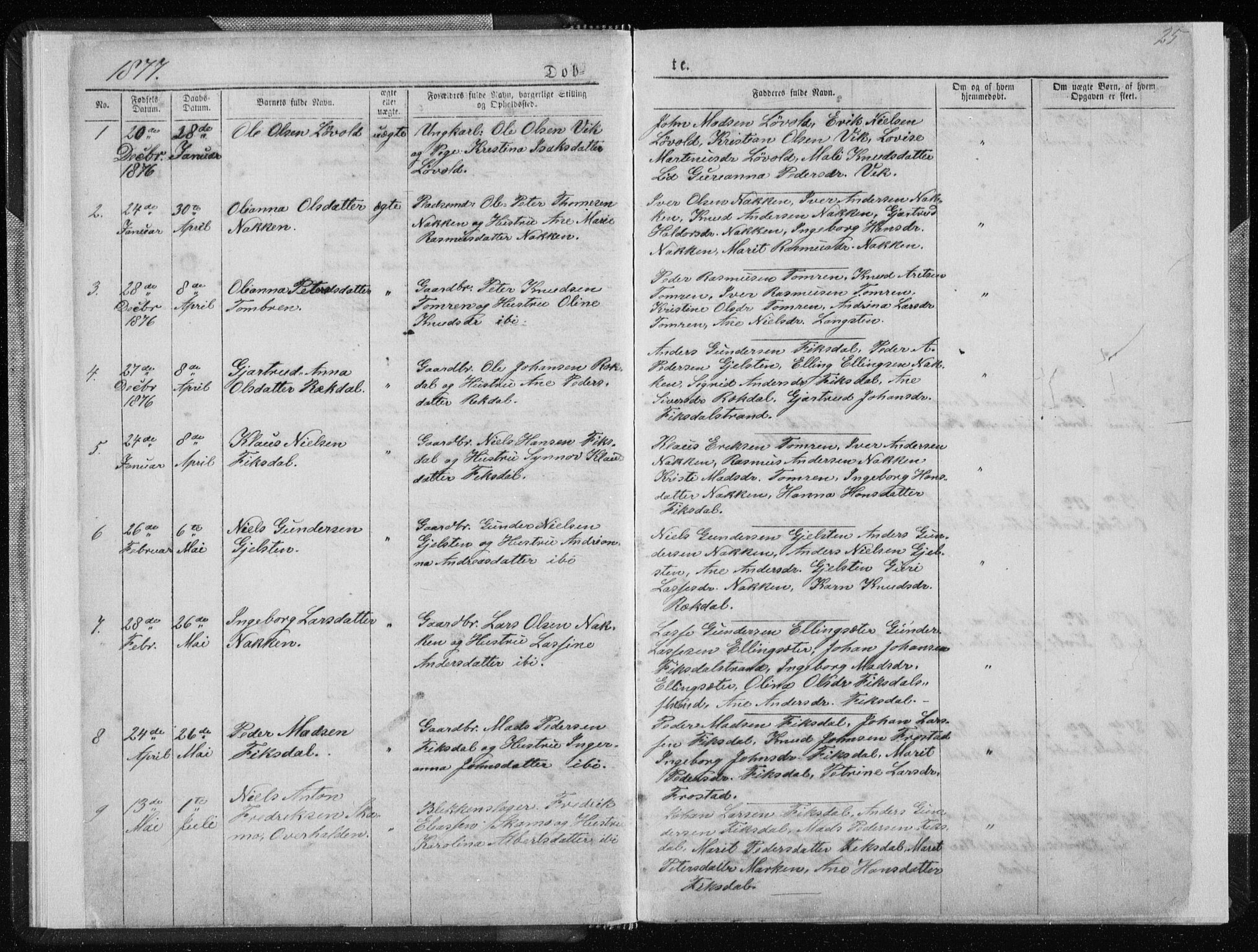 Ministerialprotokoller, klokkerbøker og fødselsregistre - Møre og Romsdal, AV/SAT-A-1454/540/L0541: Klokkerbok nr. 540C01, 1867-1920, s. 25