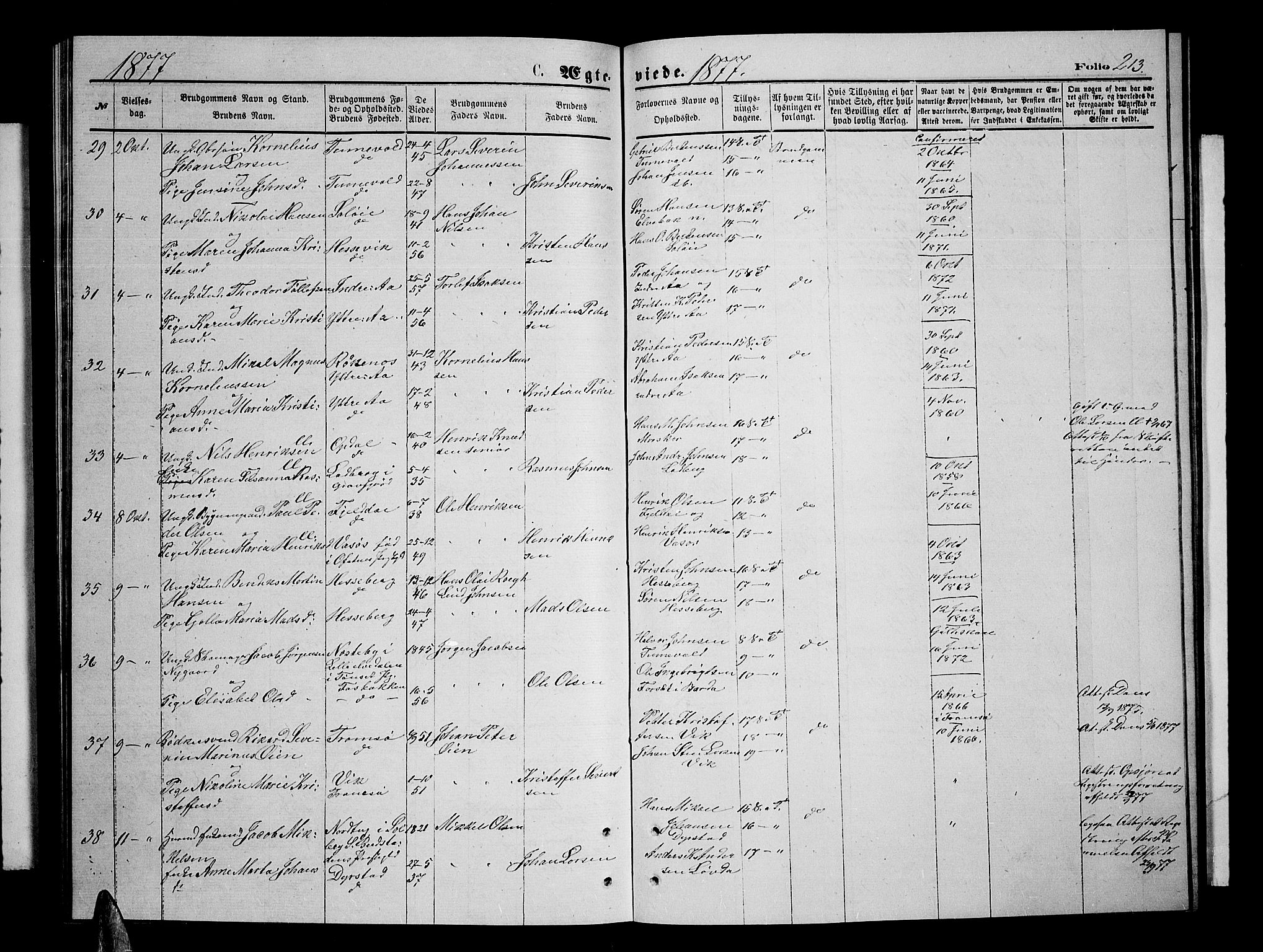 Ibestad sokneprestembete, AV/SATØ-S-0077/H/Ha/Hab/L0006klokker: Klokkerbok nr. 6, 1871-1879, s. 213