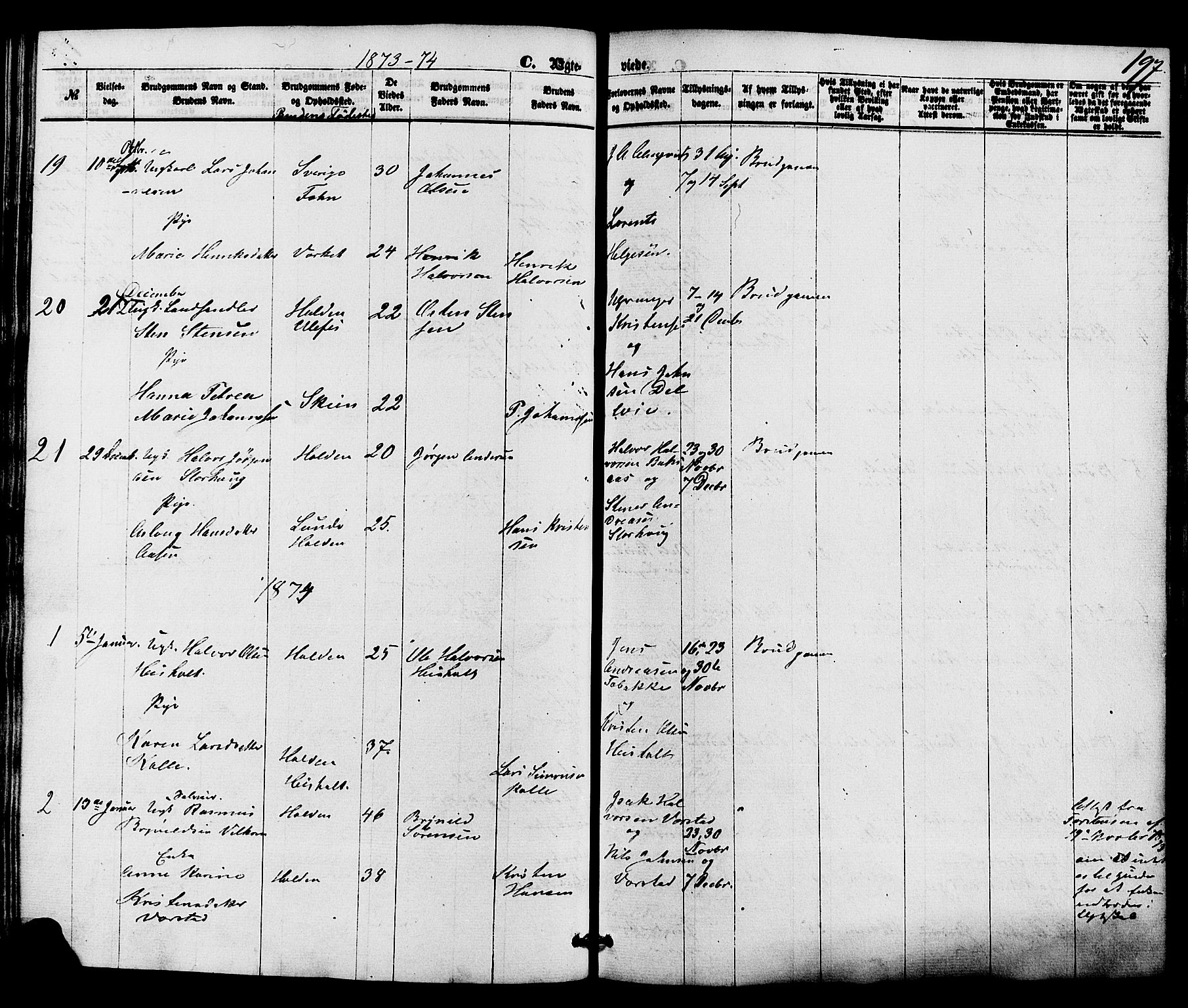 Holla kirkebøker, AV/SAKO-A-272/F/Fa/L0007: Ministerialbok nr. 7, 1869-1881, s. 197