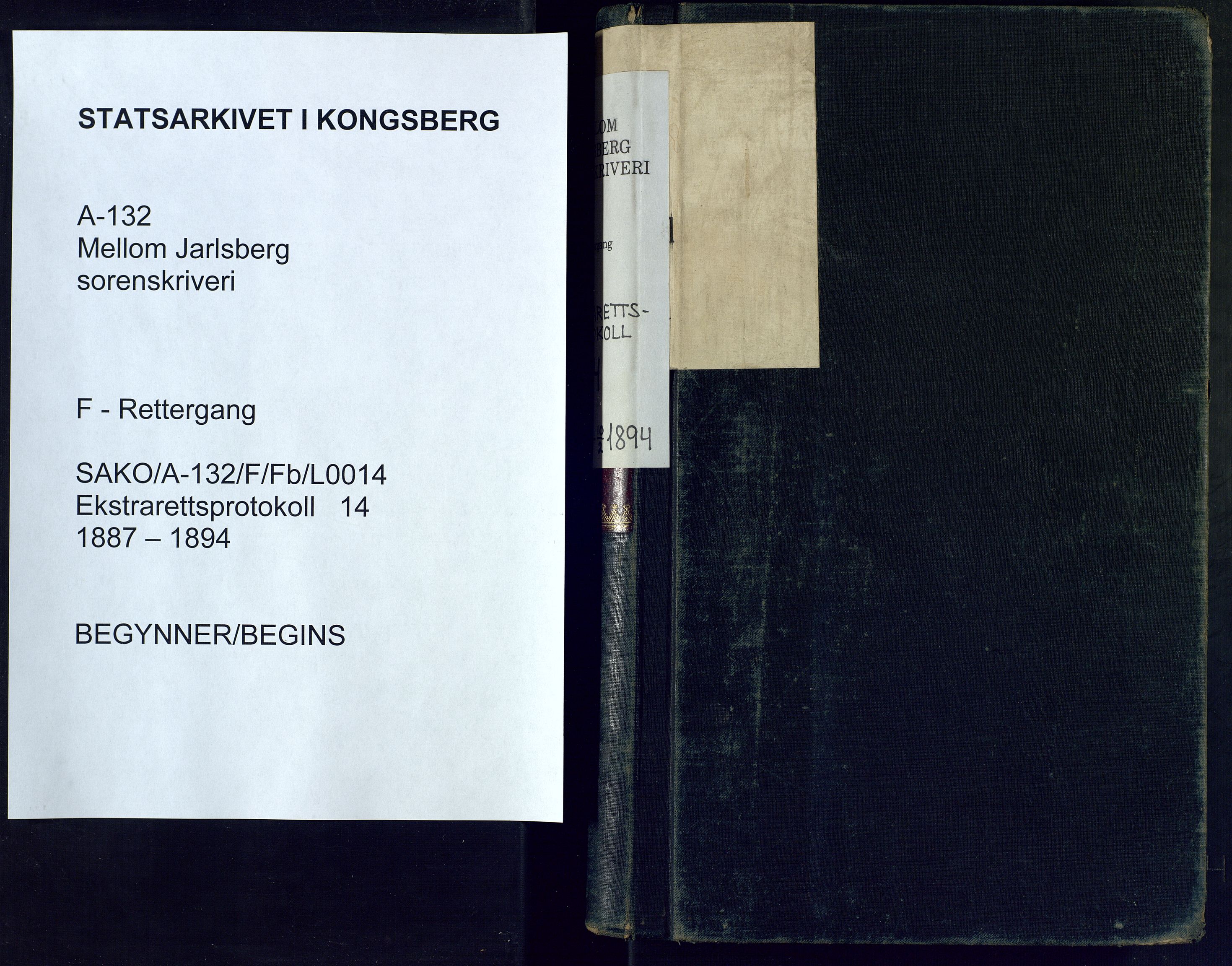 Mellom Jarlsberg sorenskriveri, SAKO/A-132/F/Fb/L0014: Ekstrarettsprotokoll, 1887-1894