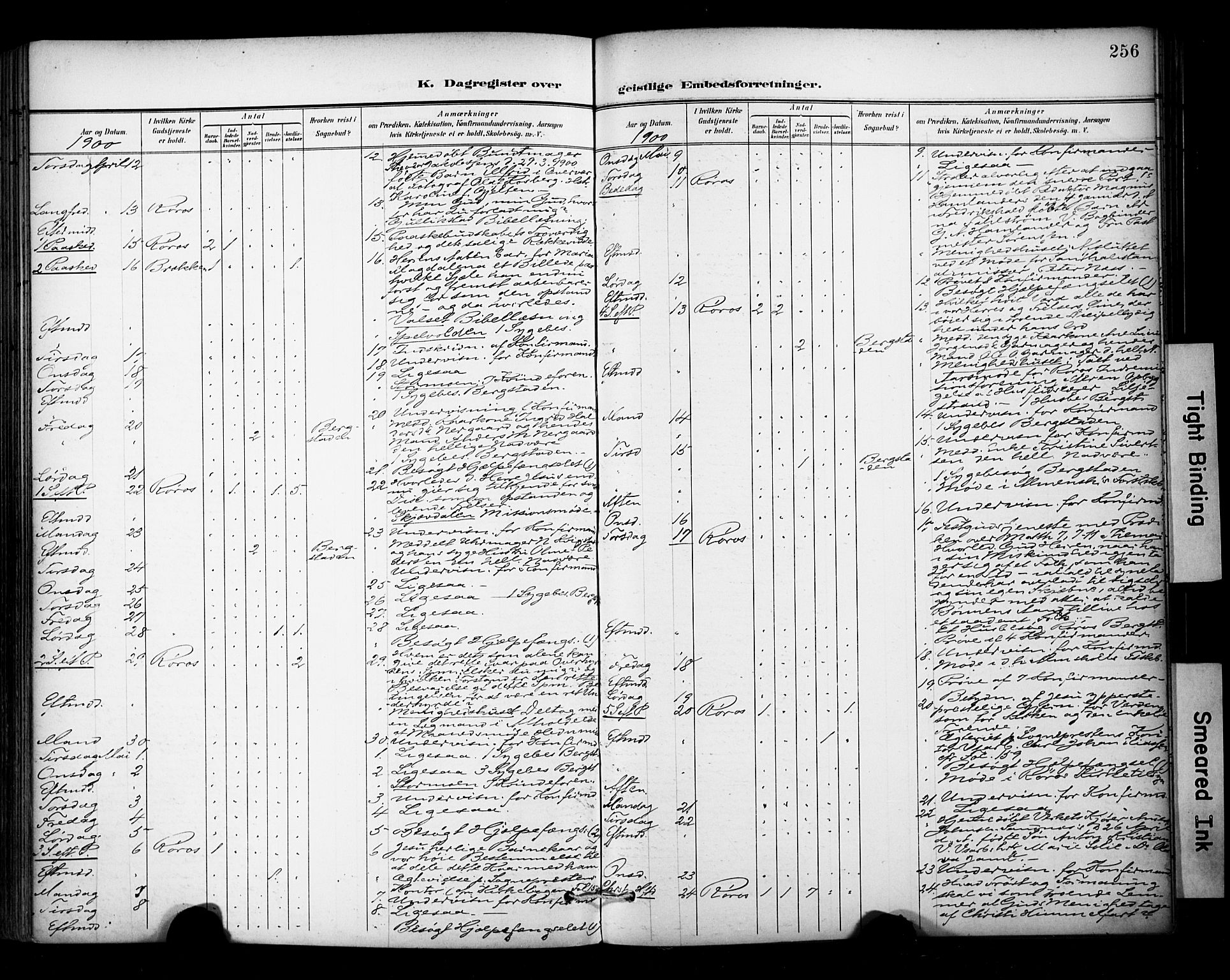 Ministerialprotokoller, klokkerbøker og fødselsregistre - Sør-Trøndelag, SAT/A-1456/681/L0936: Ministerialbok nr. 681A14, 1899-1908, s. 256