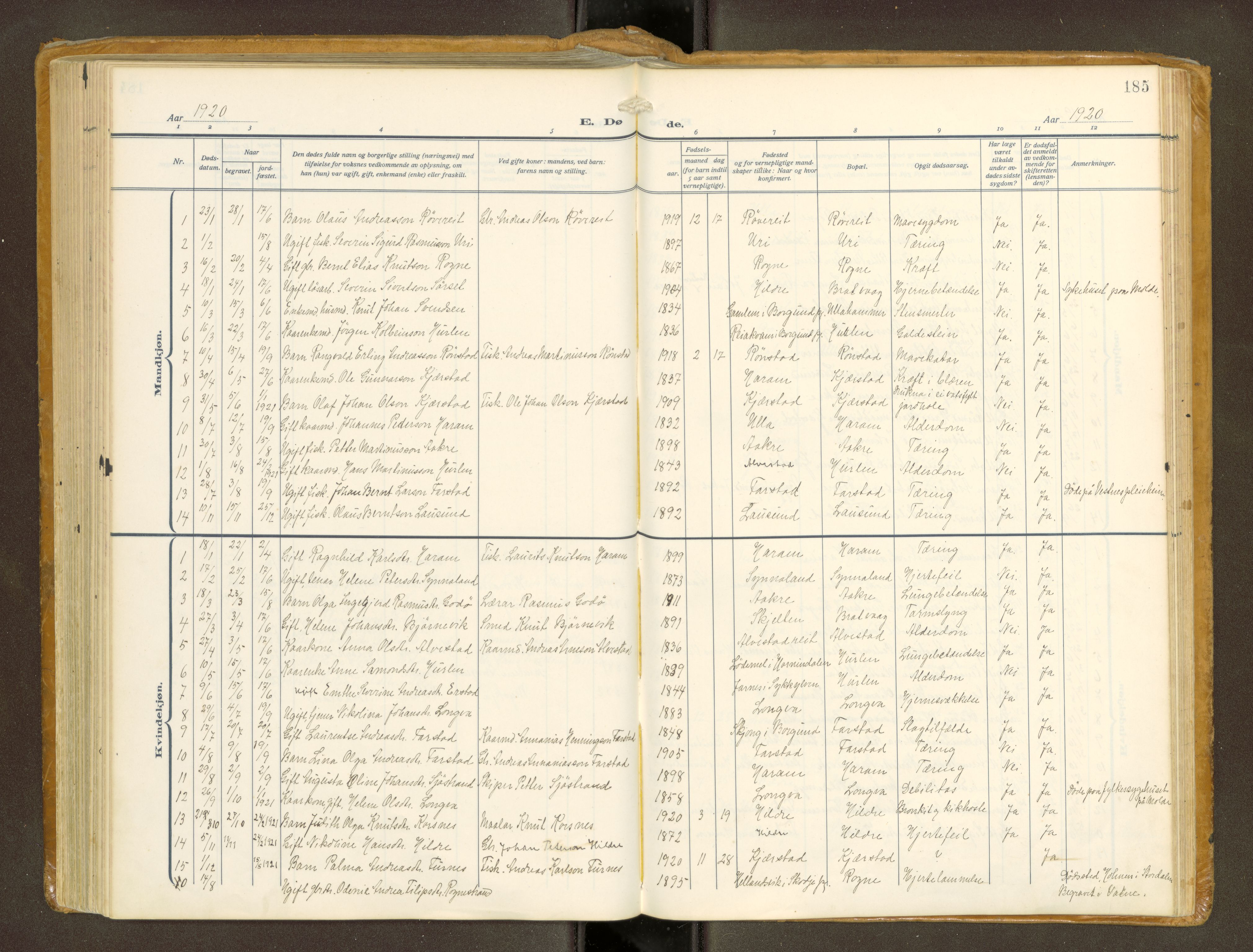 Ministerialprotokoller, klokkerbøker og fødselsregistre - Møre og Romsdal, AV/SAT-A-1454/536/L0518: Ministerialbok nr. 536A--, 1914-1931, s. 185