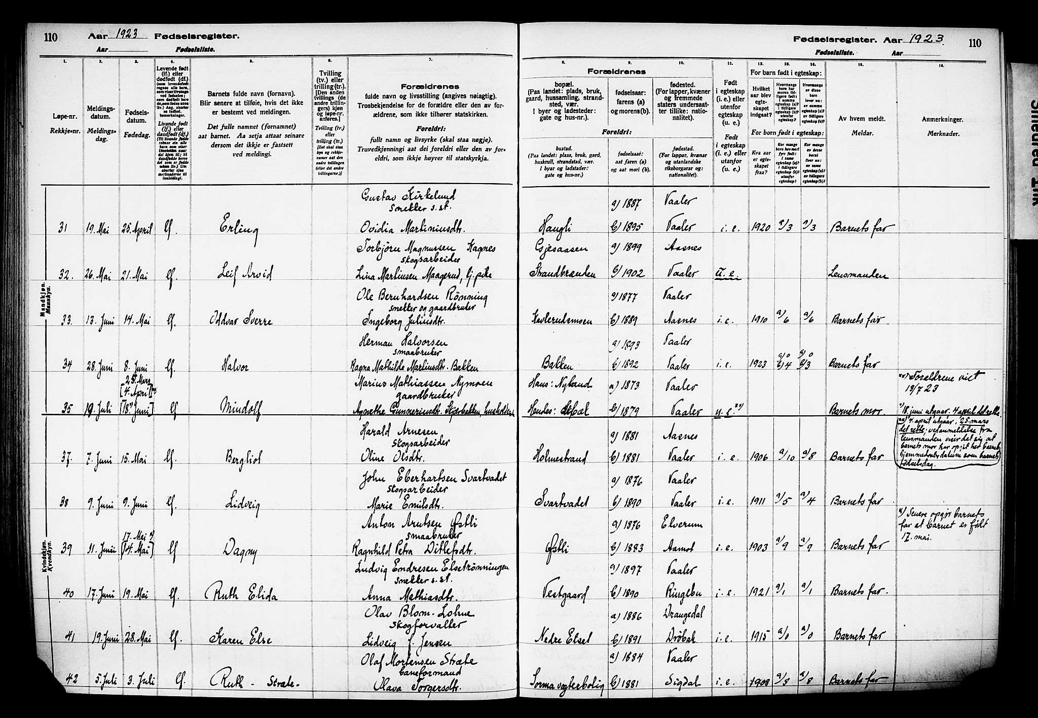 Våler prestekontor, Hedmark, AV/SAH-PREST-040/I/Id/L0001: Fødselsregister nr. 1, 1916-1930, s. 110