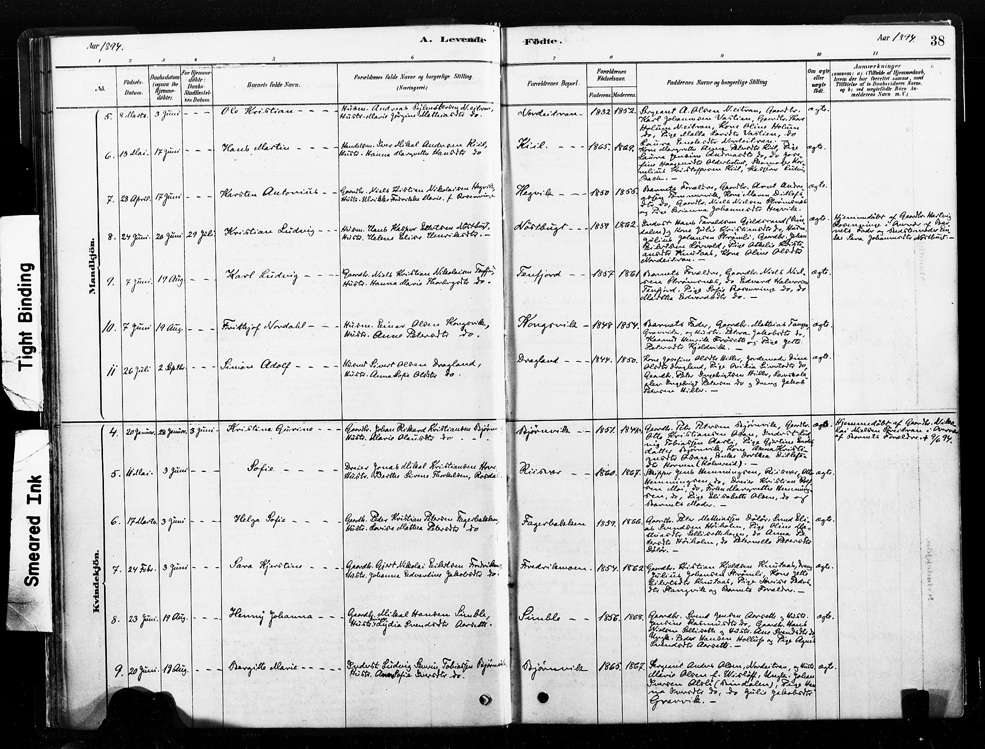 Ministerialprotokoller, klokkerbøker og fødselsregistre - Nord-Trøndelag, SAT/A-1458/789/L0705: Ministerialbok nr. 789A01, 1878-1910, s. 38
