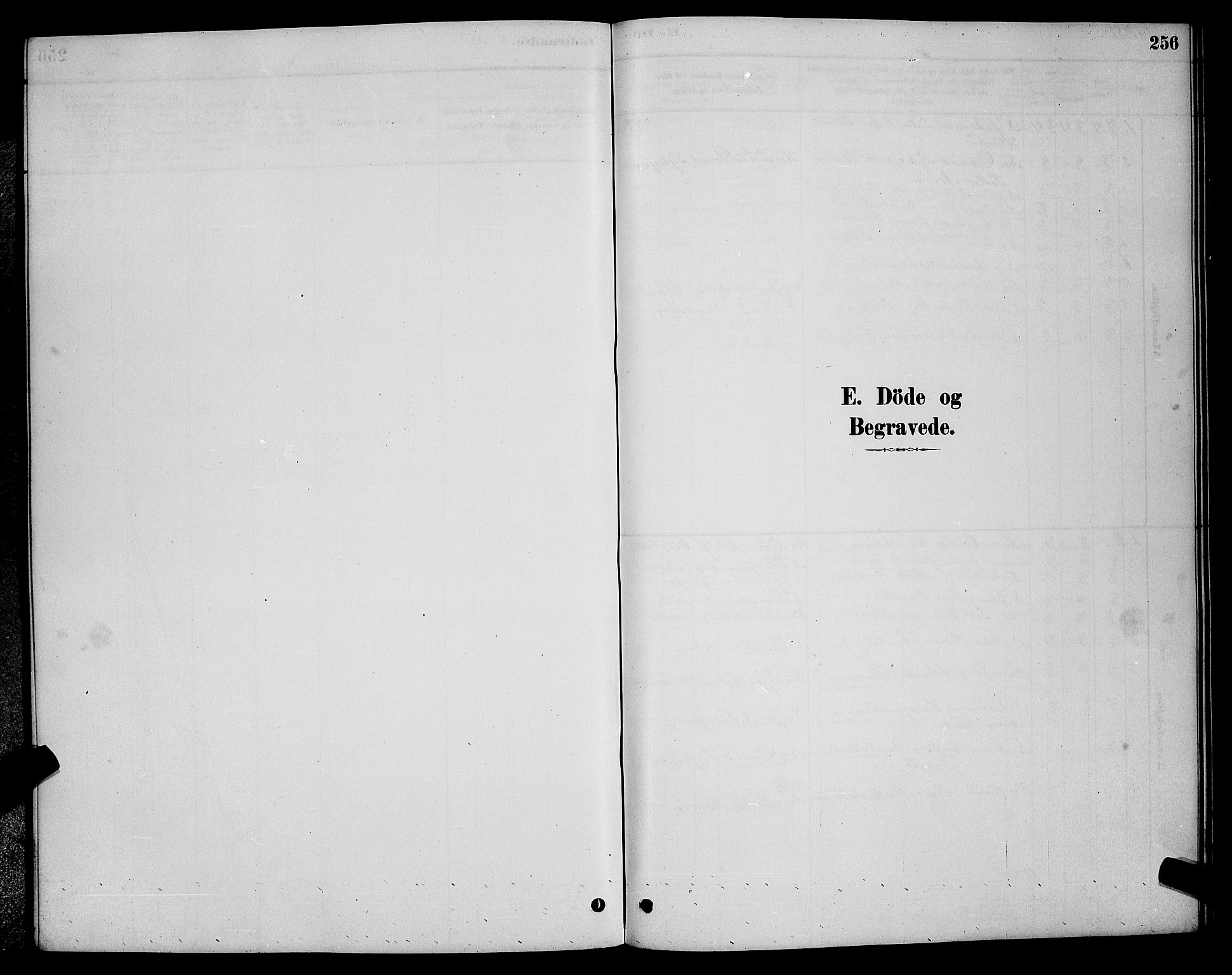 Vadsø sokneprestkontor, AV/SATØ-S-1325/H/Hb/L0003klokker: Klokkerbok nr. 3, 1881-1901, s. 256