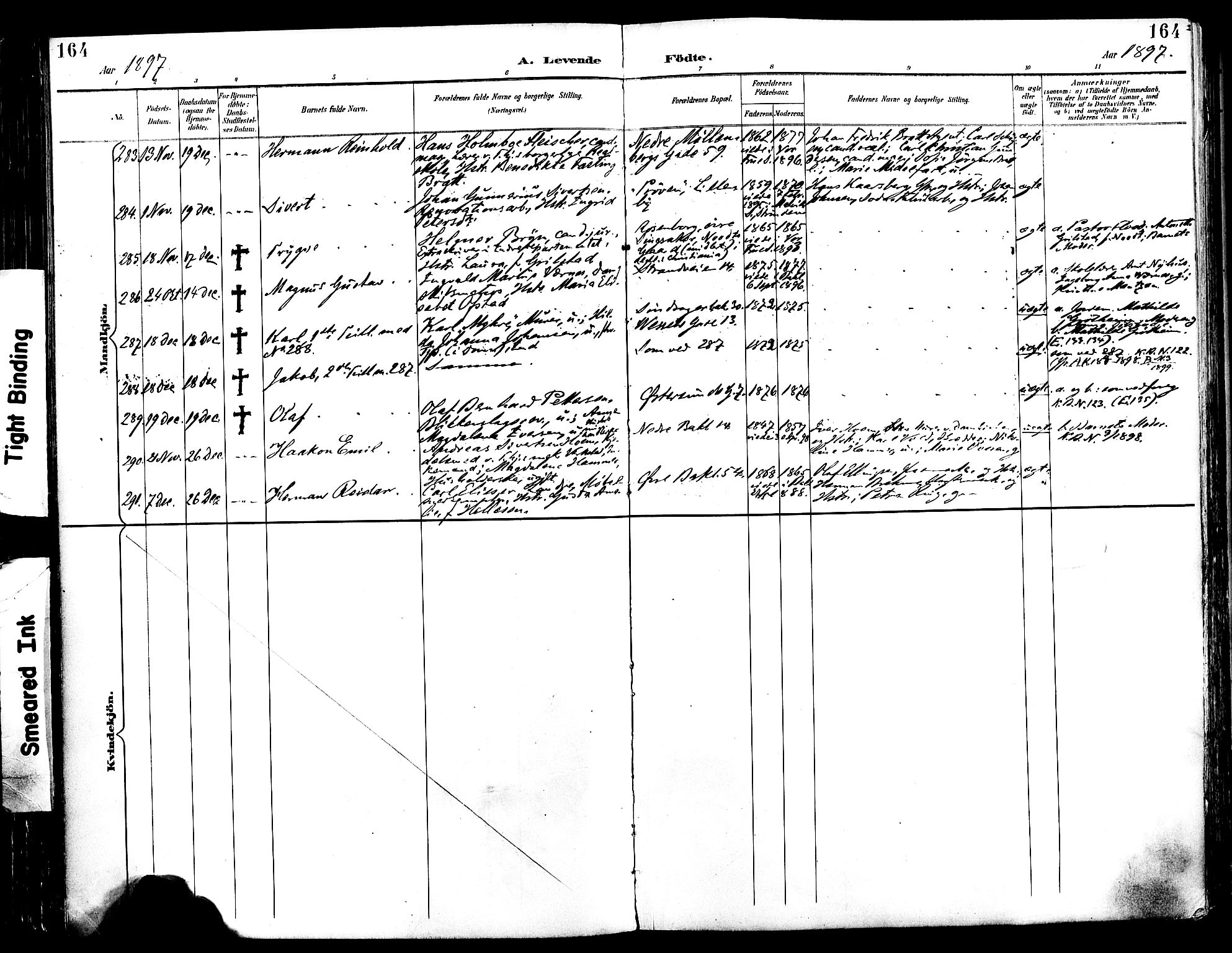 Ministerialprotokoller, klokkerbøker og fødselsregistre - Sør-Trøndelag, SAT/A-1456/604/L0197: Ministerialbok nr. 604A18, 1893-1900, s. 164