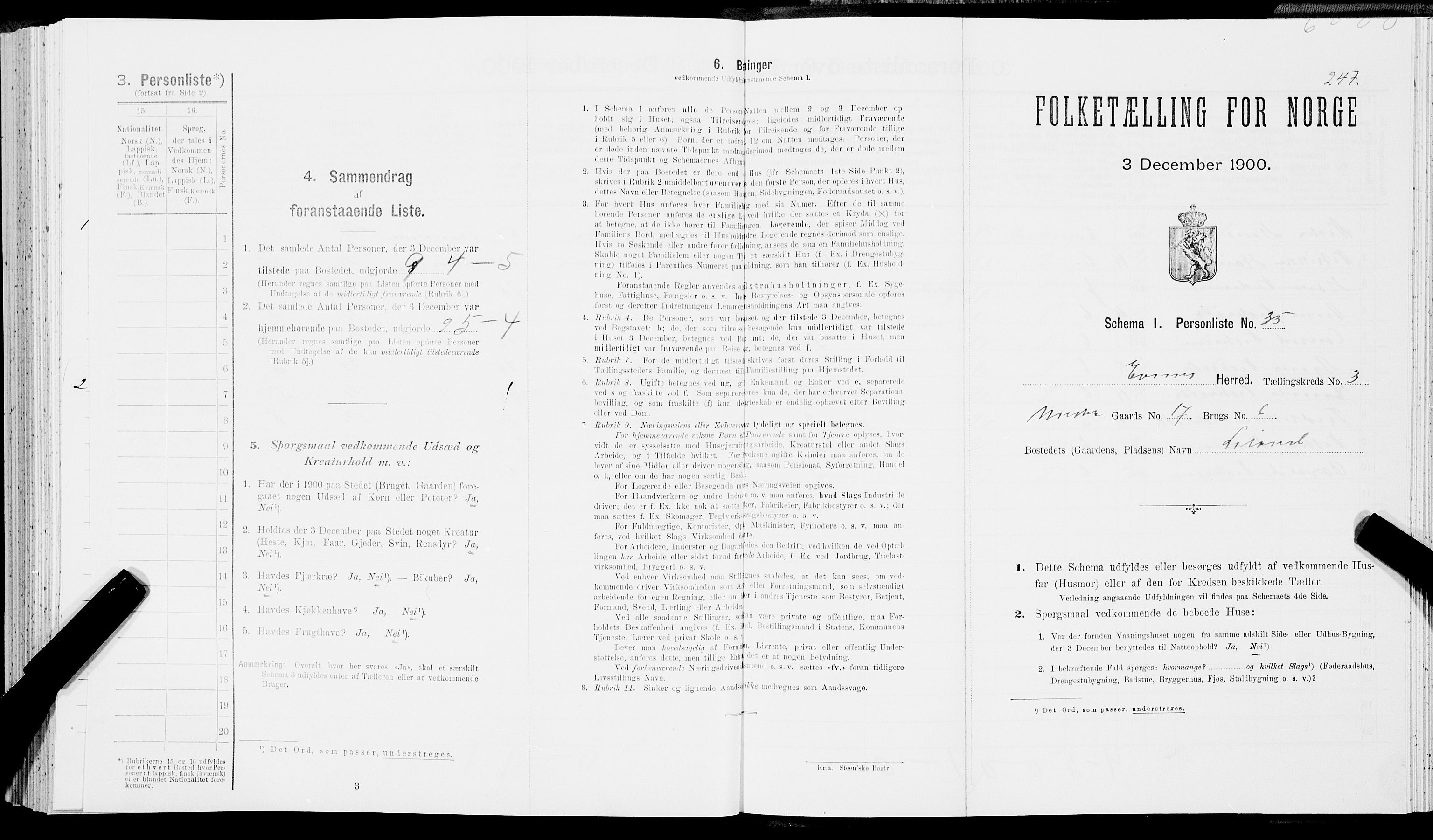SAT, Folketelling 1900 for 1853 Evenes herred, 1900, s. 273