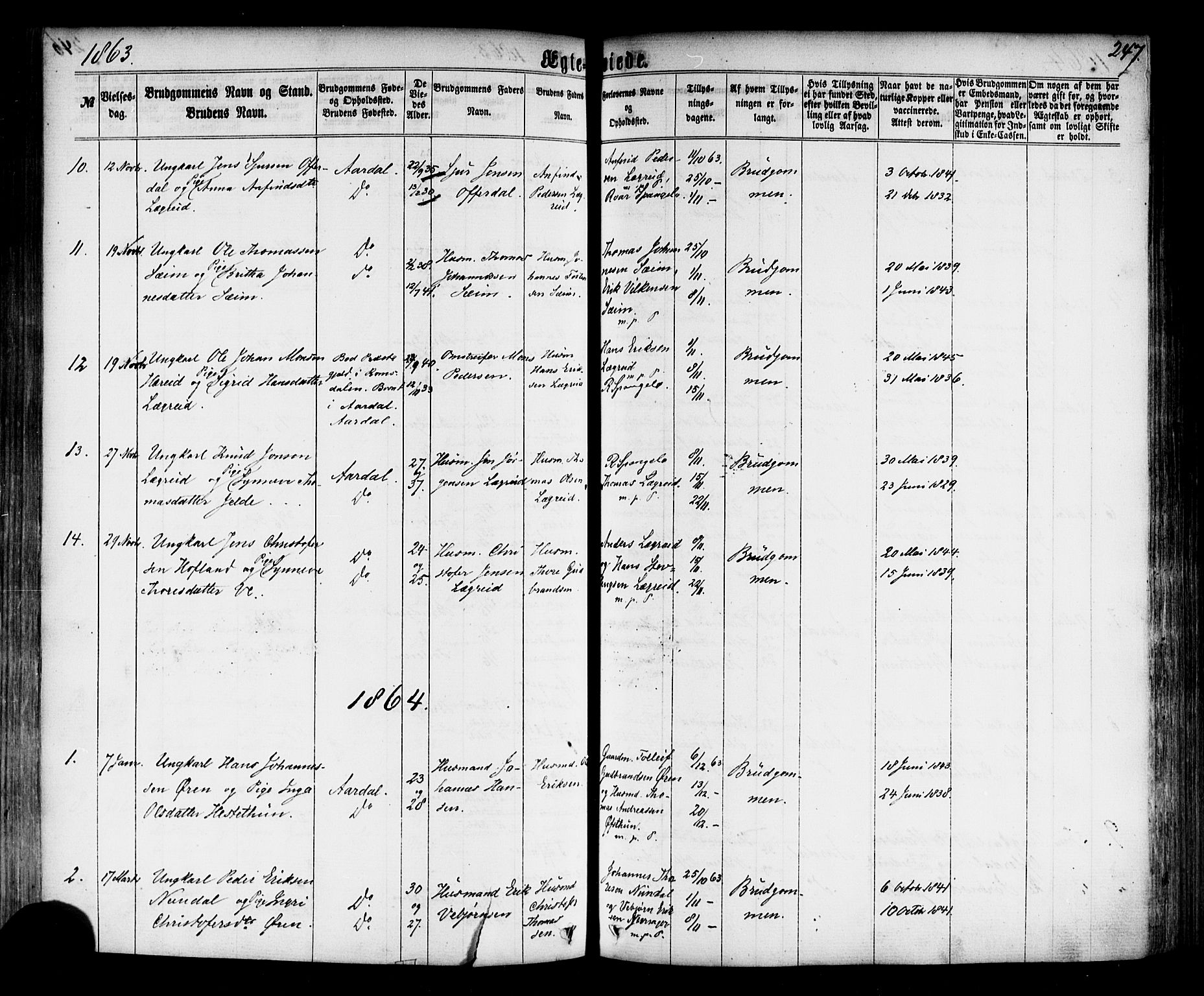 Årdal sokneprestembete, AV/SAB-A-81701: Ministerialbok nr. A 3, 1863-1886, s. 247