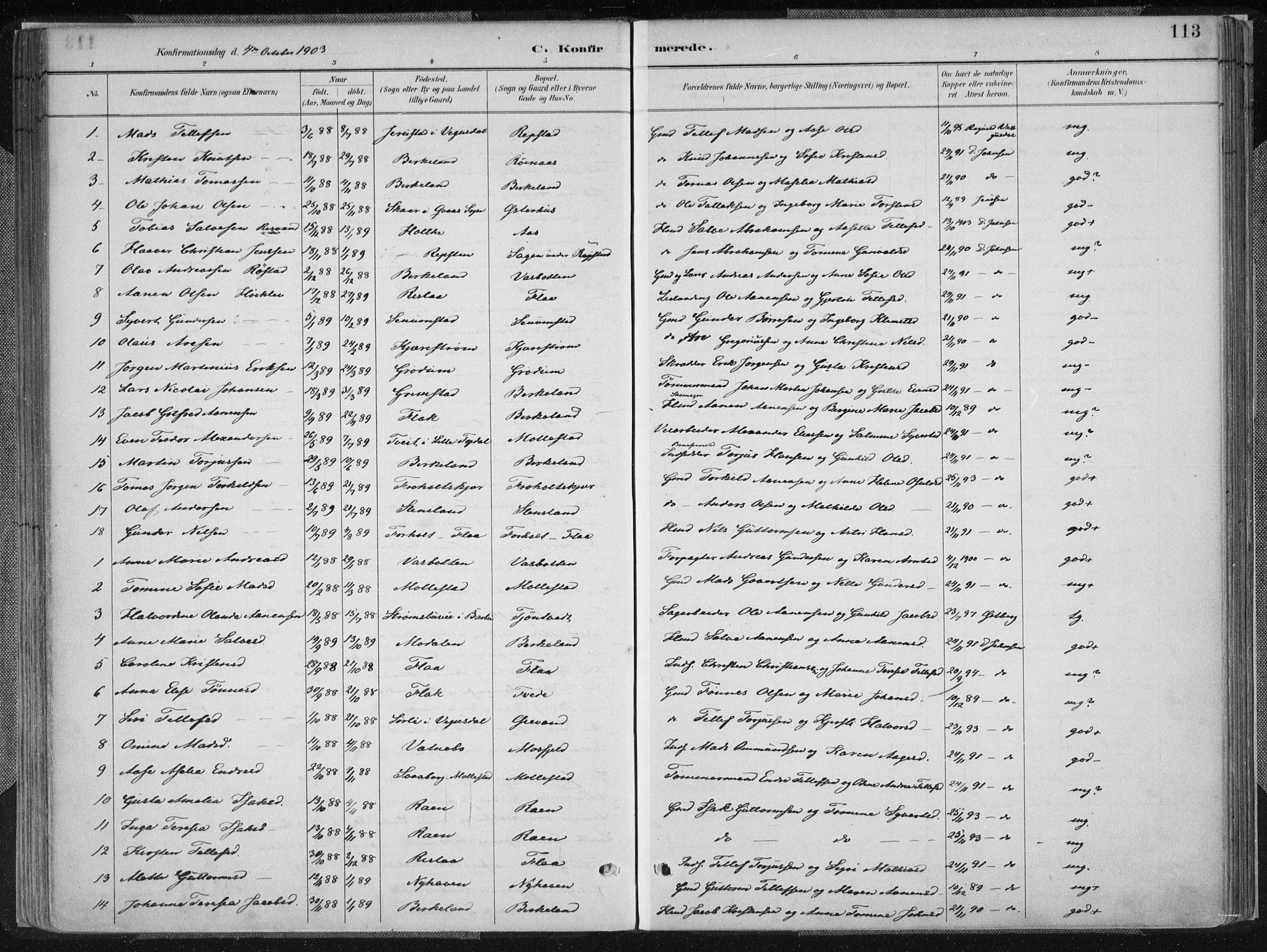 Birkenes sokneprestkontor, SAK/1111-0004/F/Fa/L0005: Ministerialbok nr. A 5, 1887-1907, s. 113