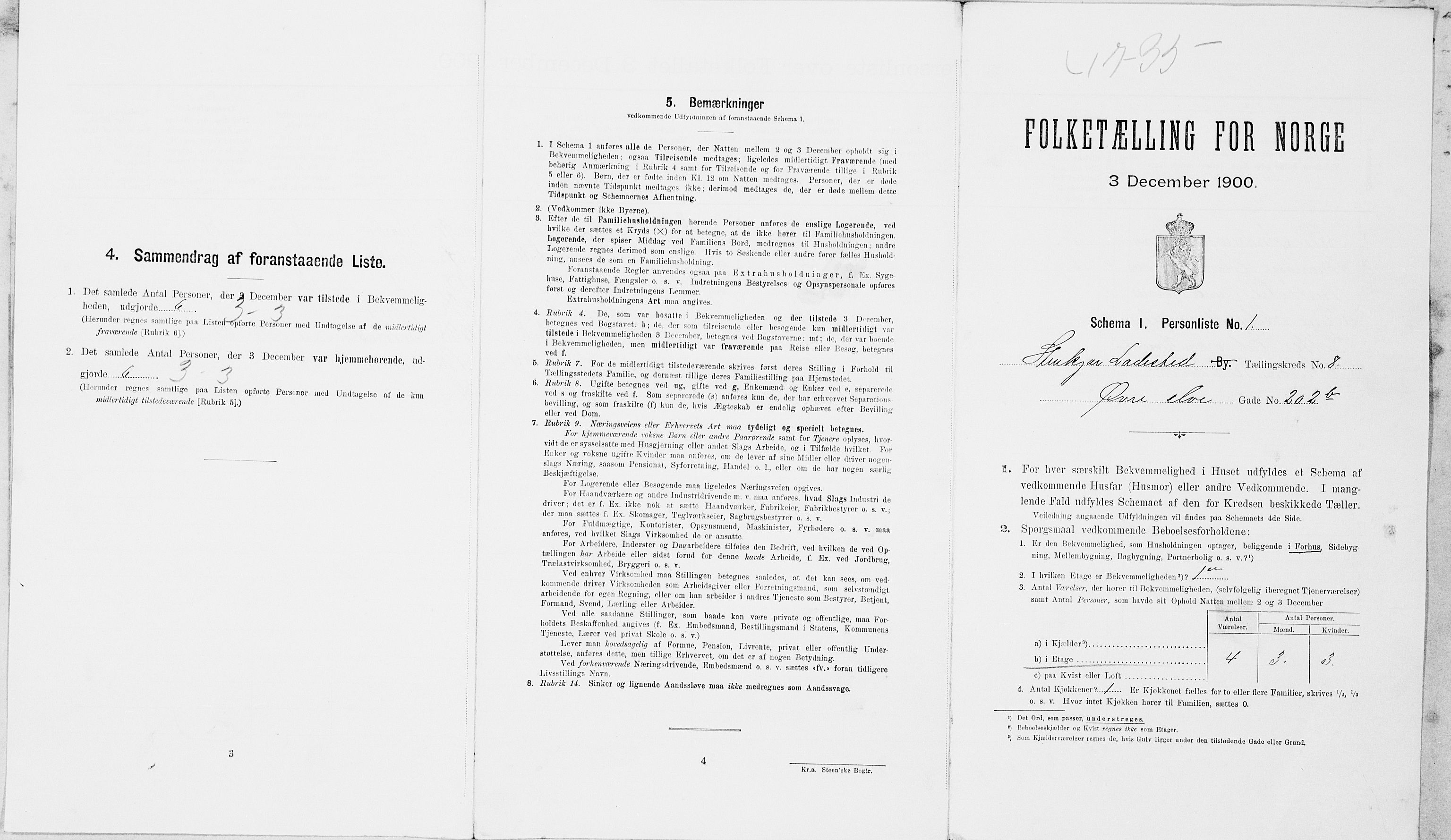SAT, Folketelling 1900 for 1702 Steinkjer ladested, 1900, s. 893