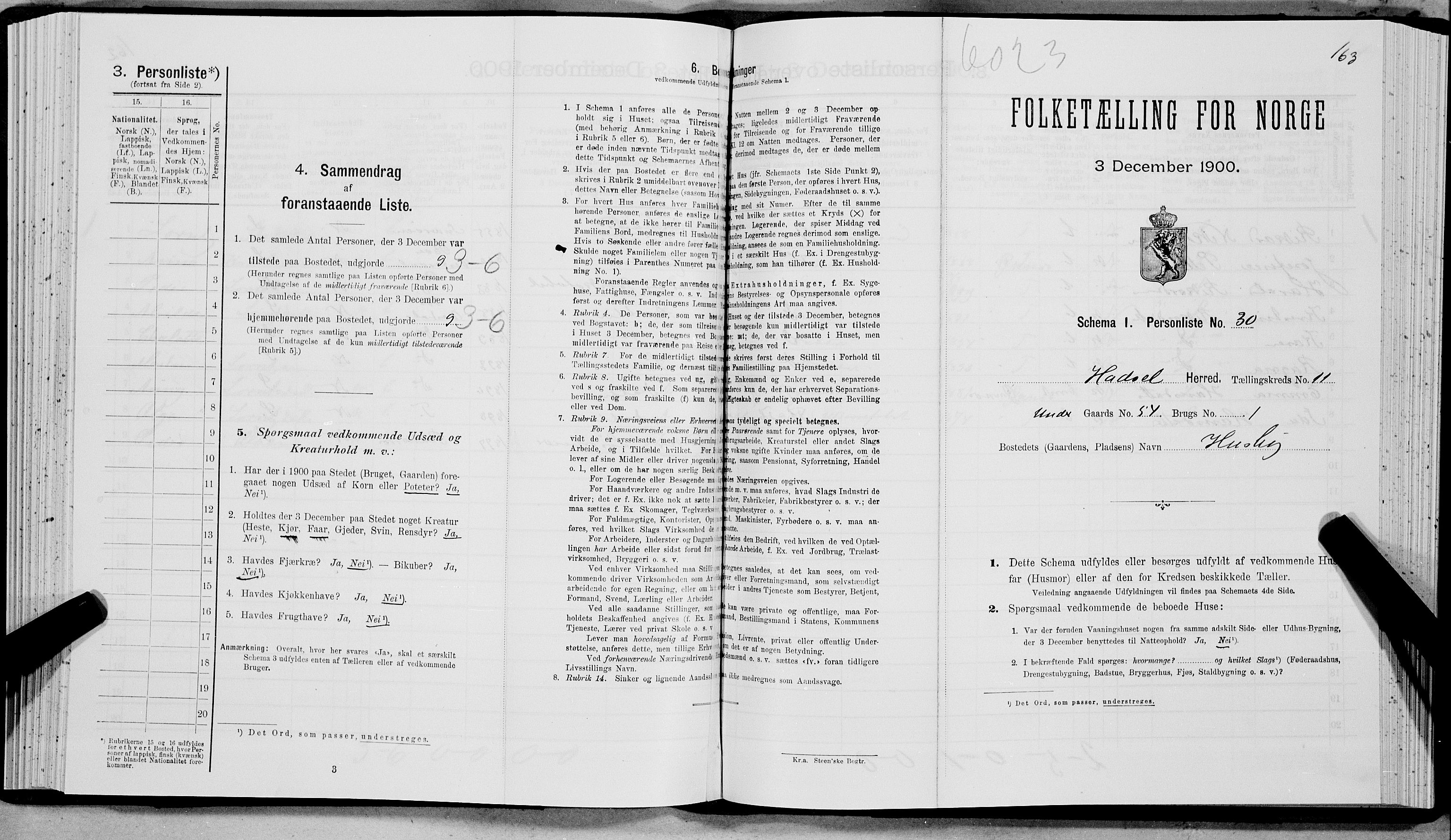 SAT, Folketelling 1900 for 1866 Hadsel herred, 1900, s. 973