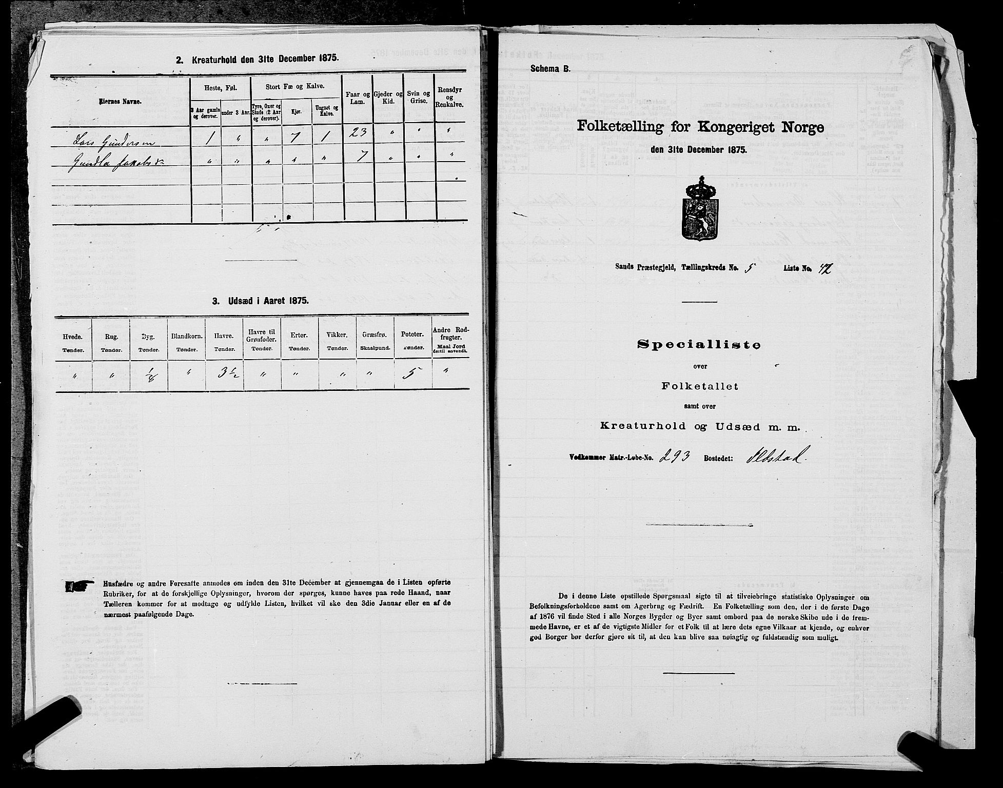 SAST, Folketelling 1875 for 1136P Sand prestegjeld, 1875, s. 741