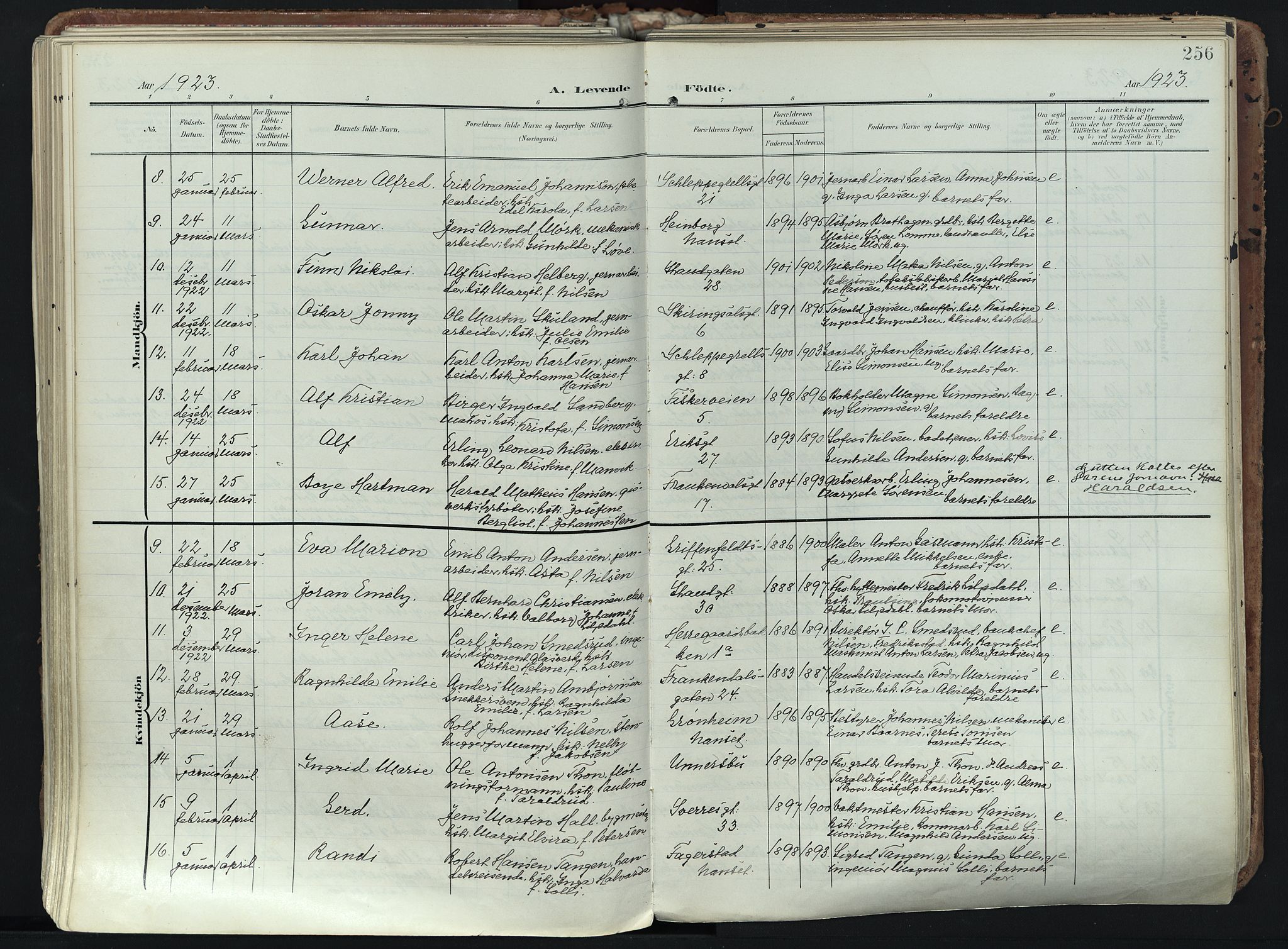 Larvik kirkebøker, AV/SAKO-A-352/F/Fa/L0012: Ministerialbok nr. I 12, 1905-1933, s. 256
