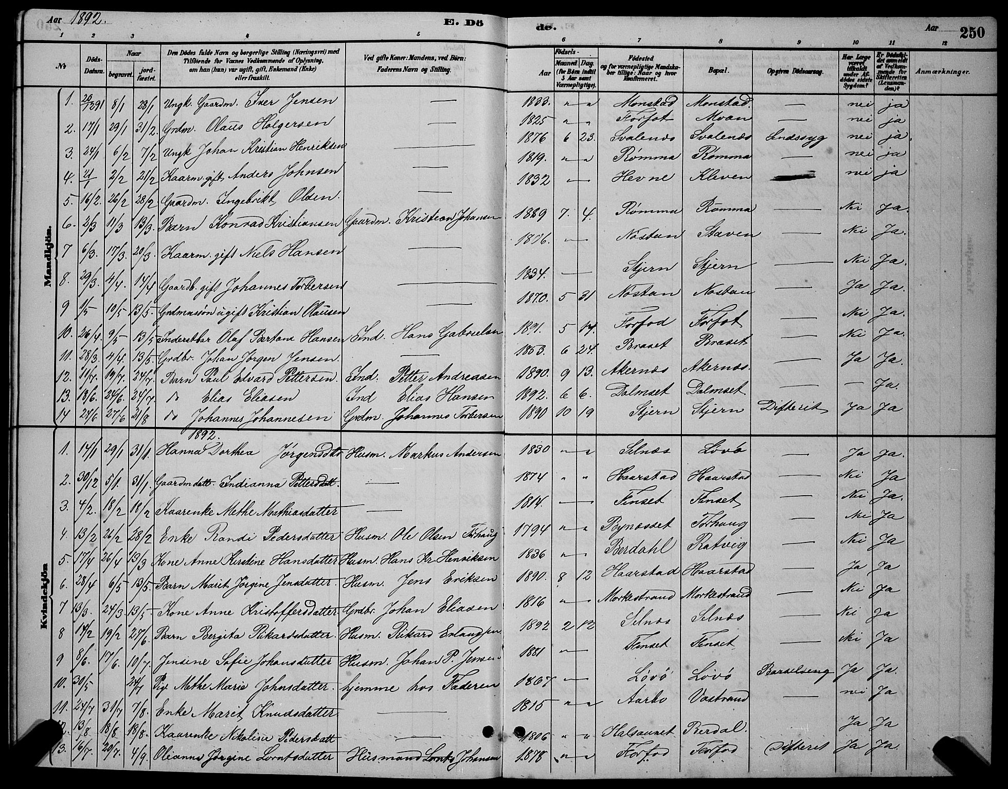 Ministerialprotokoller, klokkerbøker og fødselsregistre - Sør-Trøndelag, AV/SAT-A-1456/655/L0687: Klokkerbok nr. 655C03, 1880-1898, s. 250