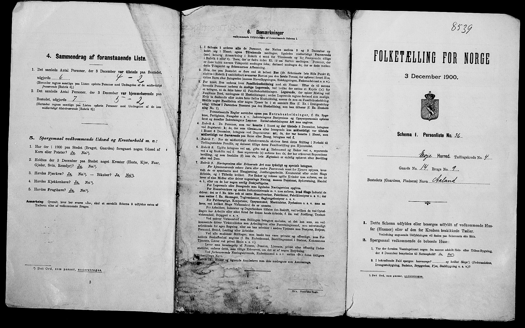 SAK, Folketelling 1900 for 0937 Evje herred, 1900, s. 302