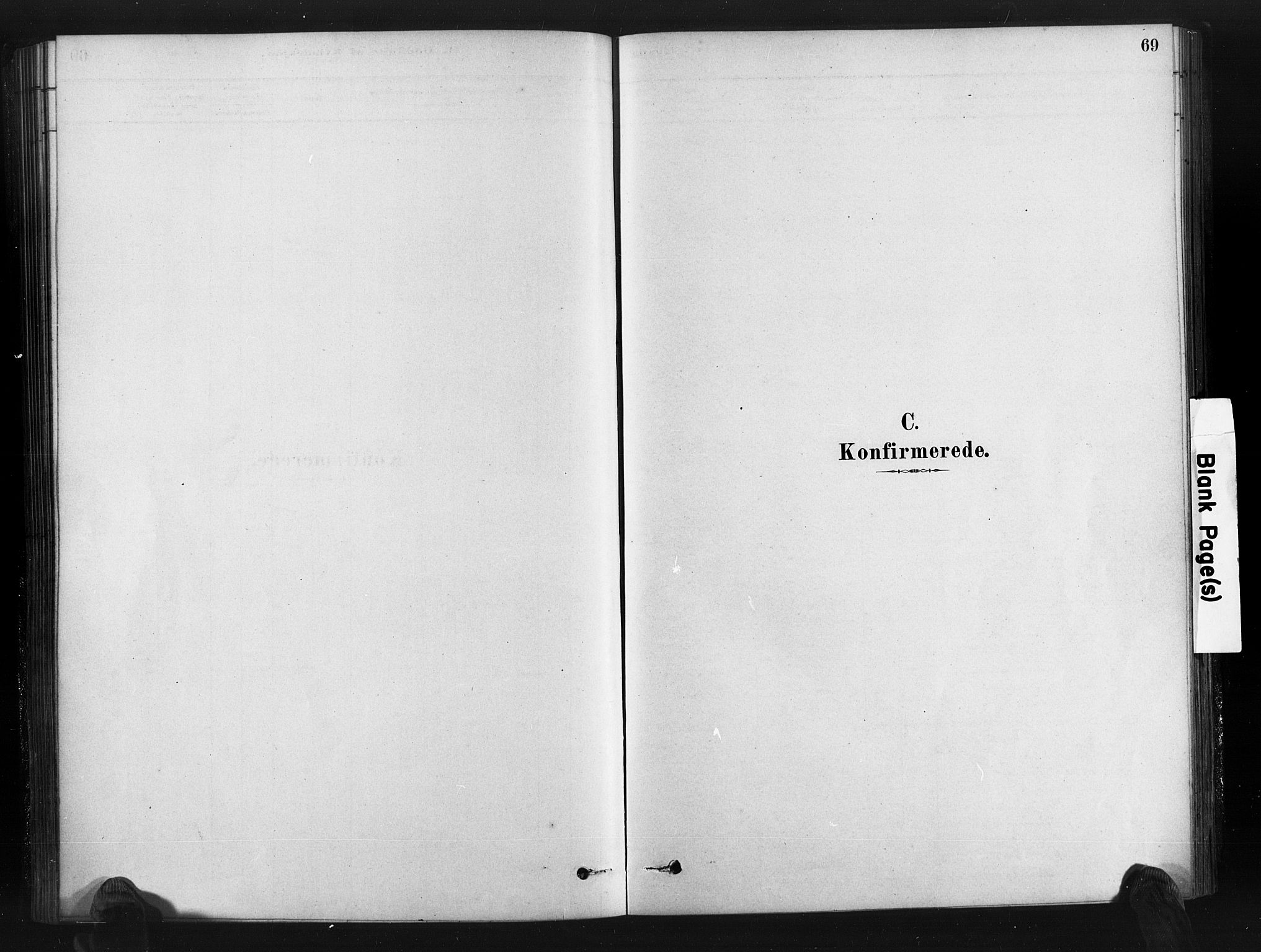 Gjerstad sokneprestkontor, SAK/1111-0014/F/Fa/Fab/L0004: Ministerialbok nr. A 4, 1879-1890, s. 69