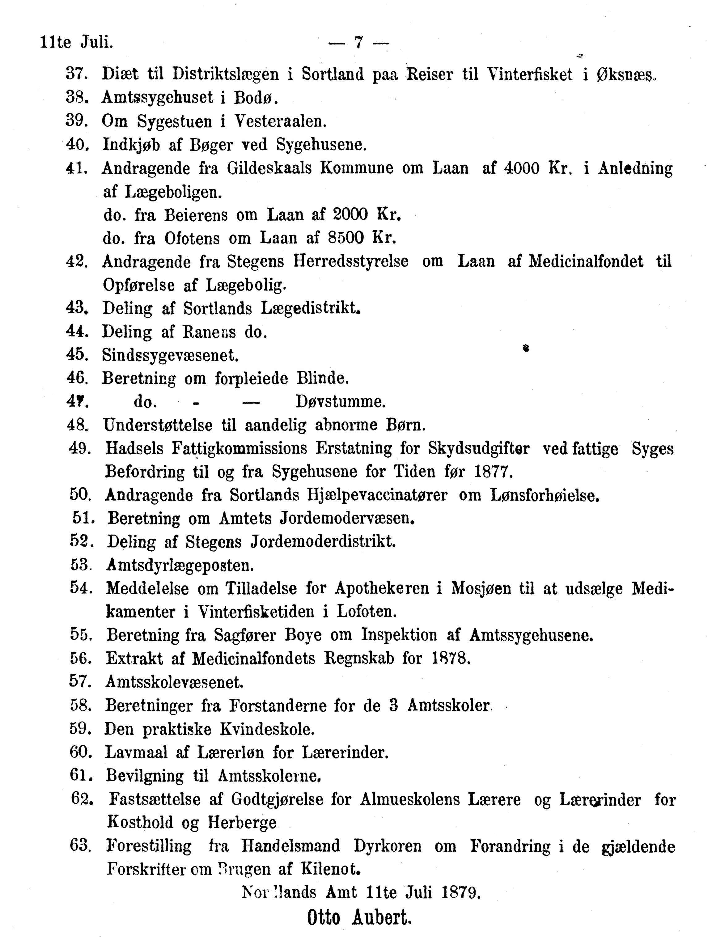 Nordland Fylkeskommune. Fylkestinget, AIN/NFK-17/176/A/Ac/L0010: Fylkestingsforhandlinger 1874-1880, 1874-1880