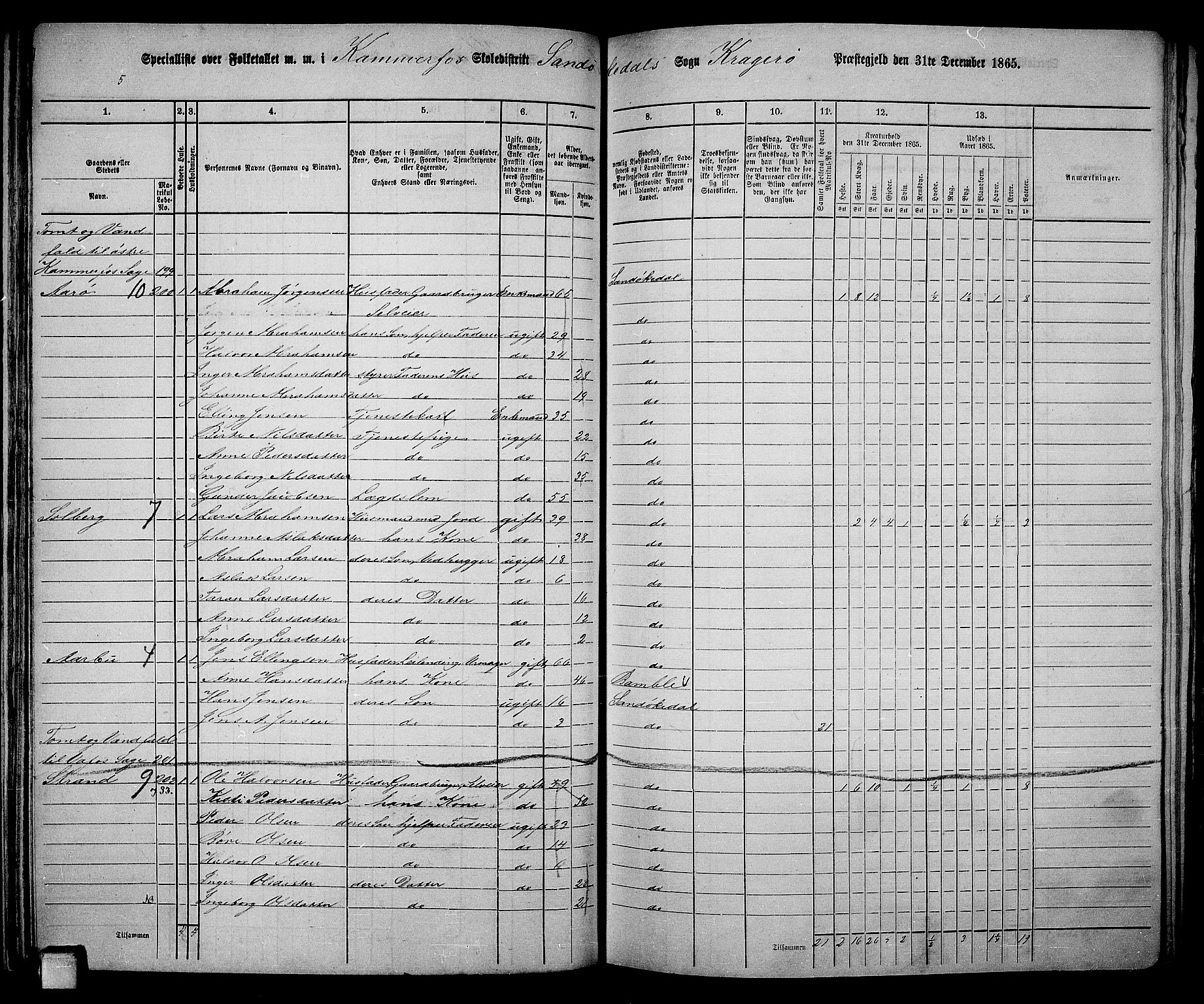 RA, Folketelling 1865 for 0816L Kragerø prestegjeld, Sannidal sokn og Skåtøy sokn, 1865, s. 82