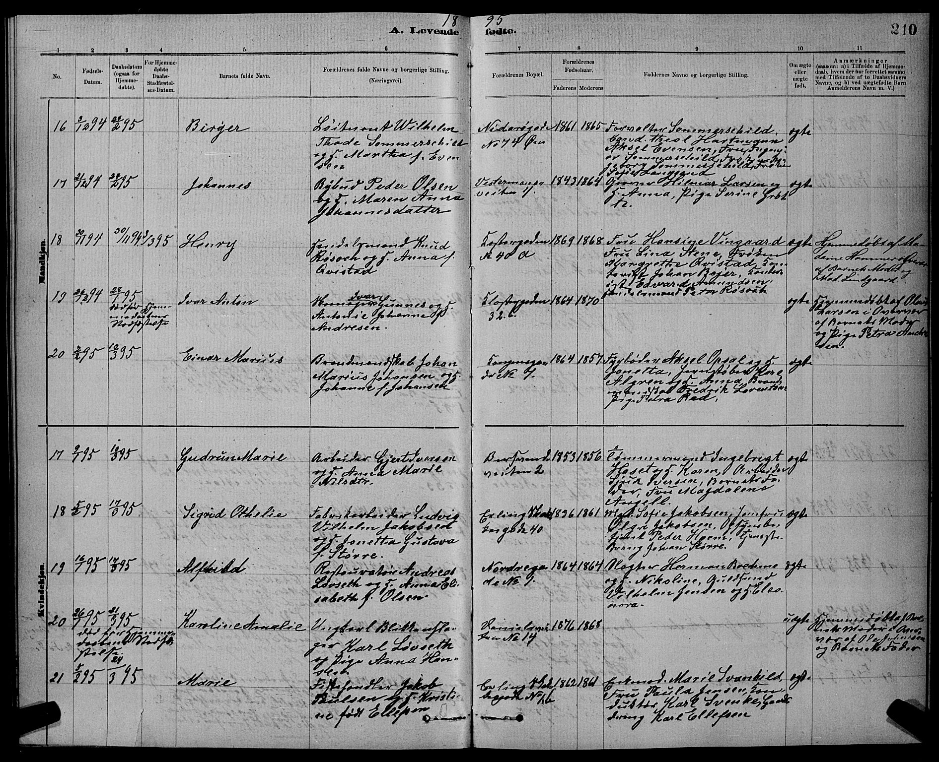 Ministerialprotokoller, klokkerbøker og fødselsregistre - Sør-Trøndelag, AV/SAT-A-1456/601/L0092: Klokkerbok nr. 601C10, 1884-1897, s. 210