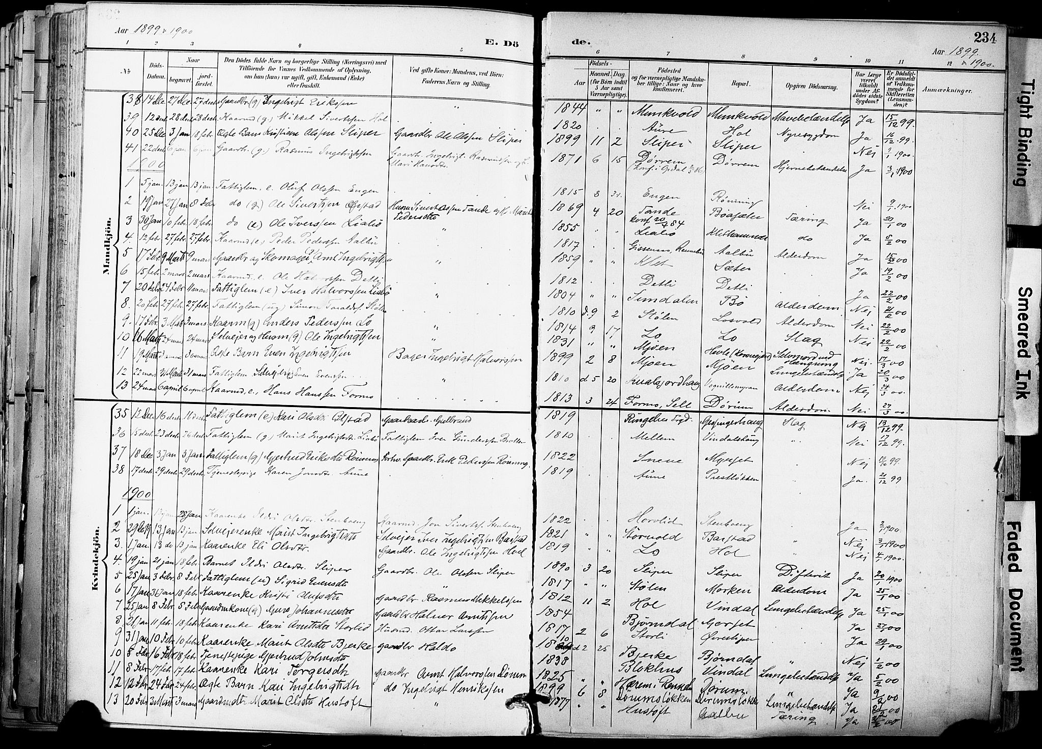 Ministerialprotokoller, klokkerbøker og fødselsregistre - Sør-Trøndelag, SAT/A-1456/678/L0902: Ministerialbok nr. 678A11, 1895-1911, s. 234