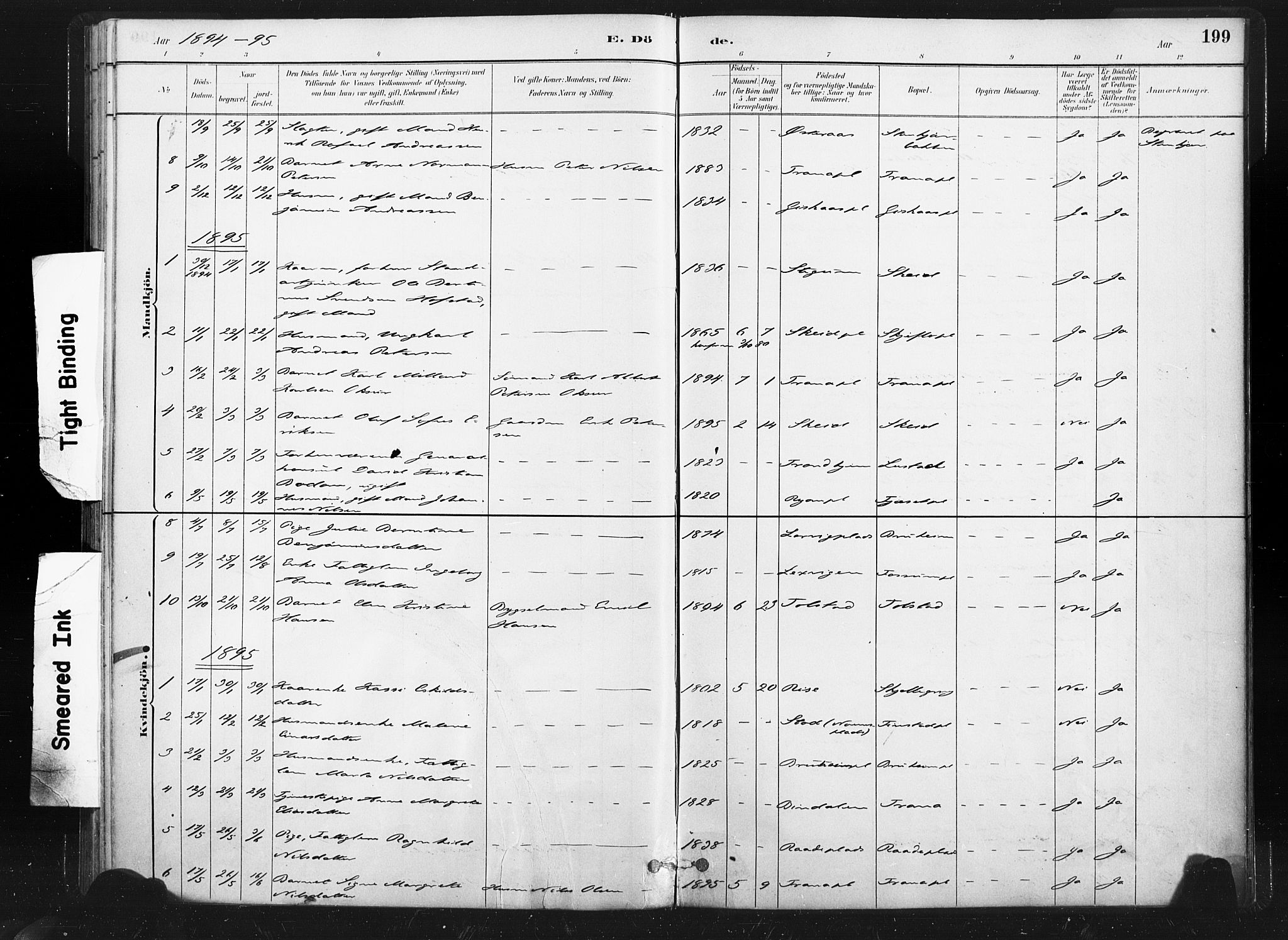 Ministerialprotokoller, klokkerbøker og fødselsregistre - Nord-Trøndelag, SAT/A-1458/736/L0361: Ministerialbok nr. 736A01, 1884-1906, s. 199