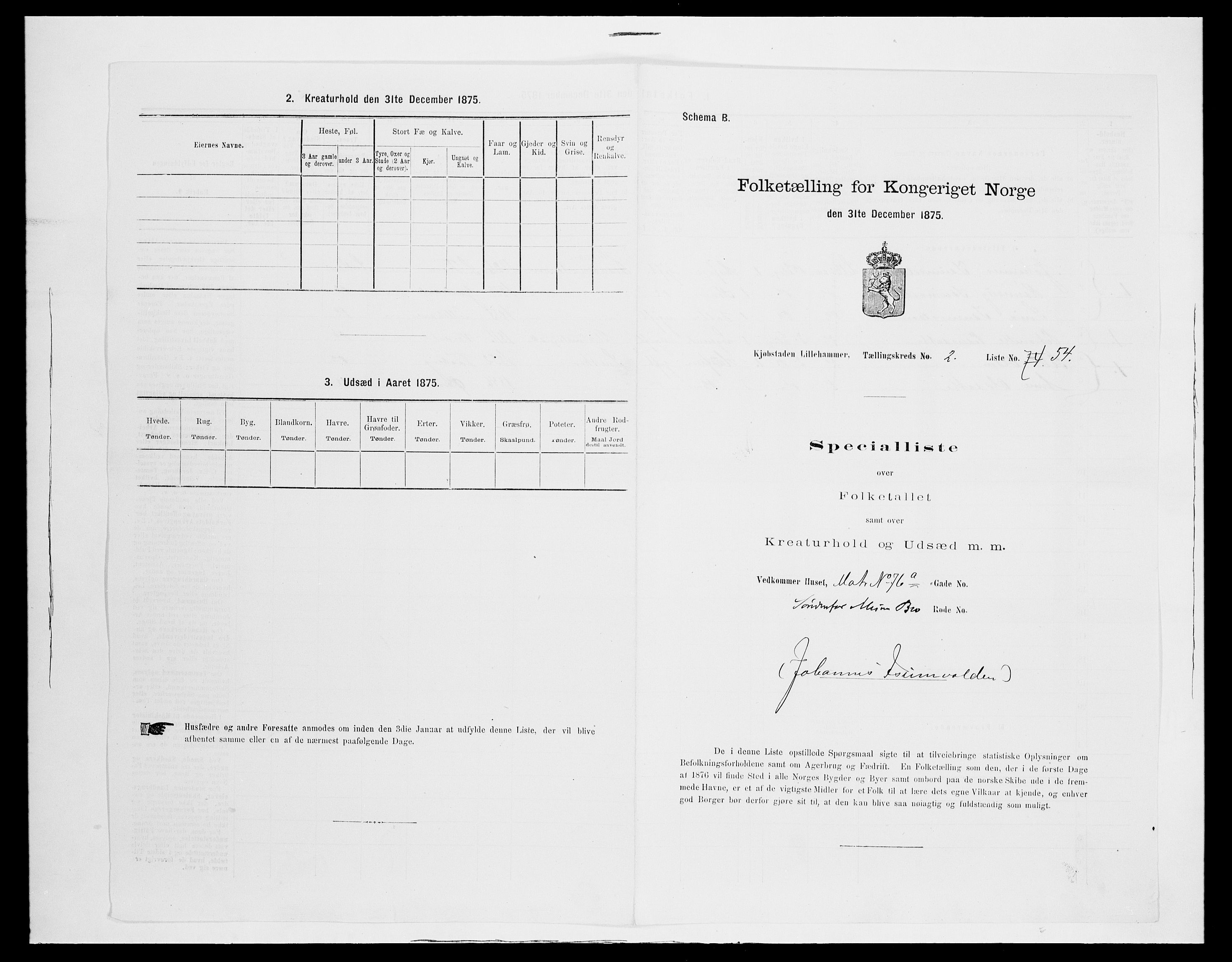 SAH, Folketelling 1875 for 0501B Fåberg prestegjeld, Lillehammer kjøpstad, 1875, s. 125