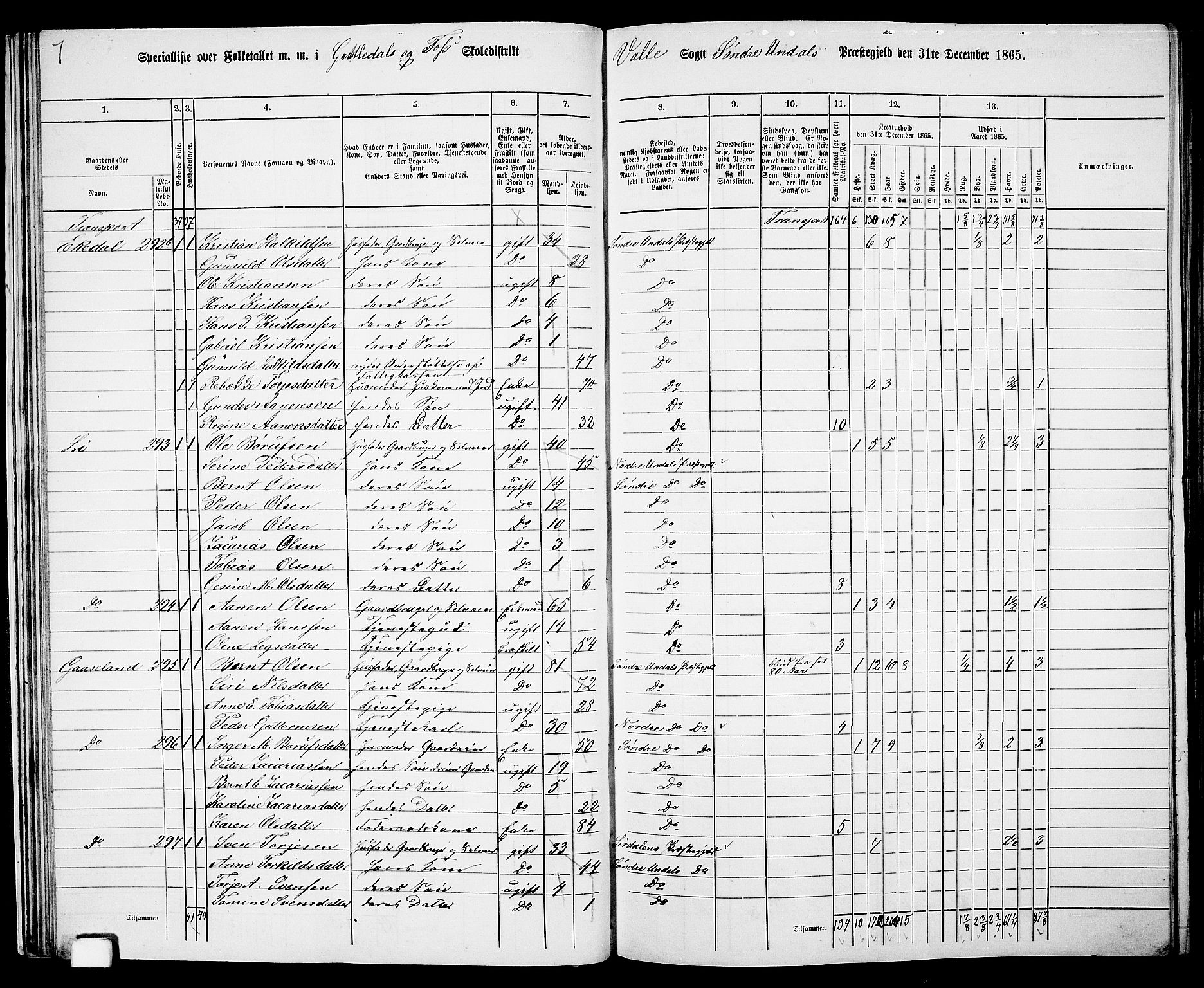 RA, Folketelling 1865 for 1029P Sør-Audnedal prestegjeld, 1865, s. 33