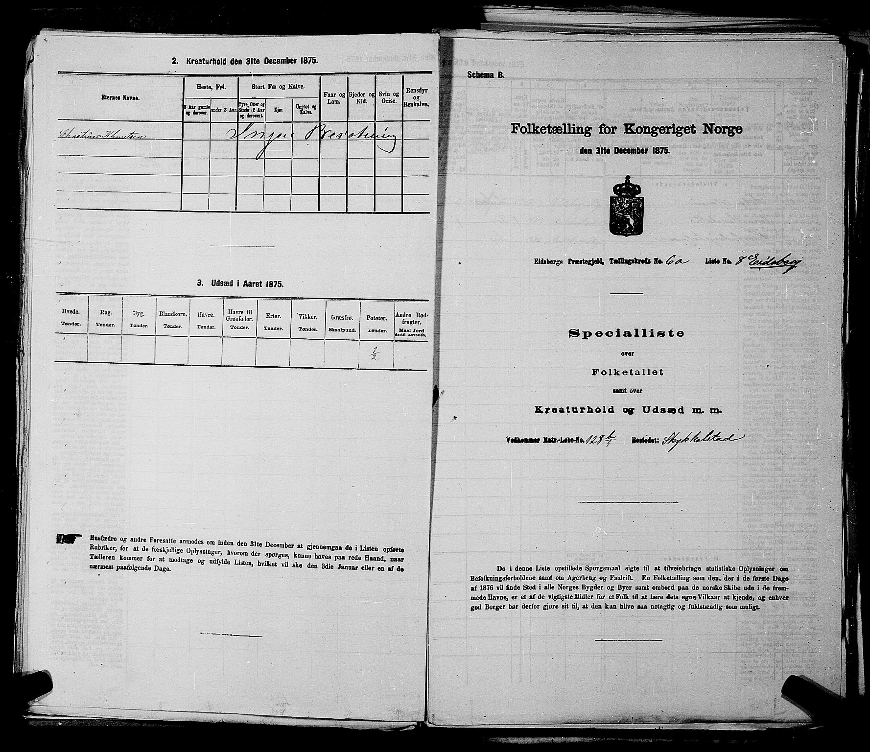 RA, Folketelling 1875 for 0125P Eidsberg prestegjeld, 1875, s. 1147