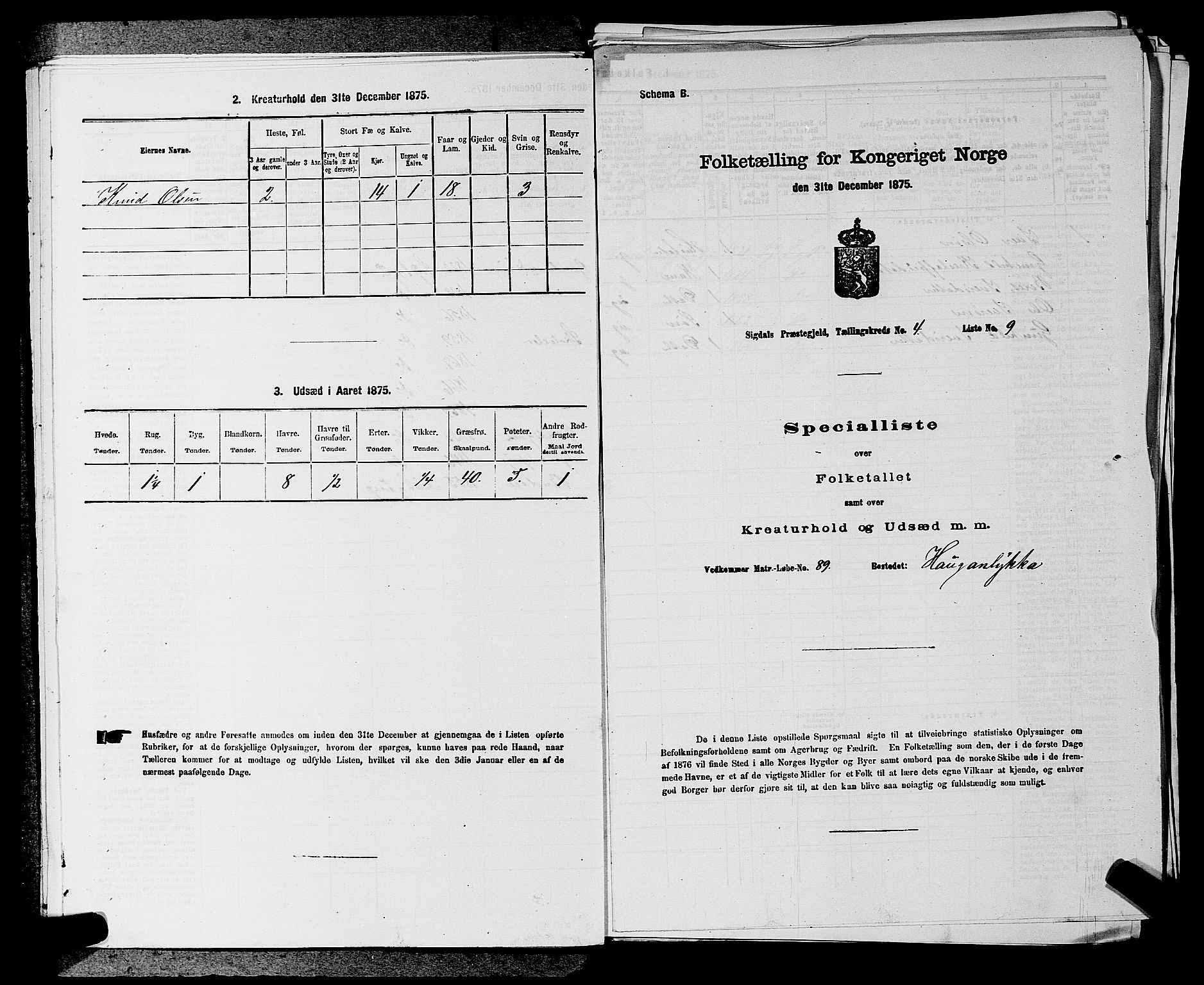 SAKO, Folketelling 1875 for 0621P Sigdal prestegjeld, 1875, s. 582