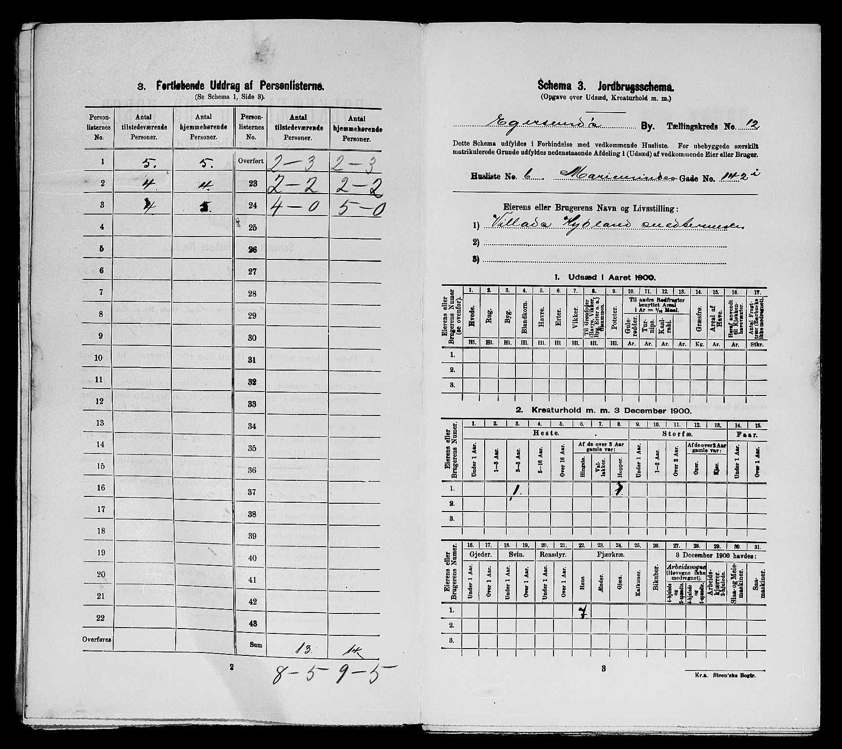 SAST, Folketelling 1900 for 1101 Egersund ladested, 1900, s. 1224