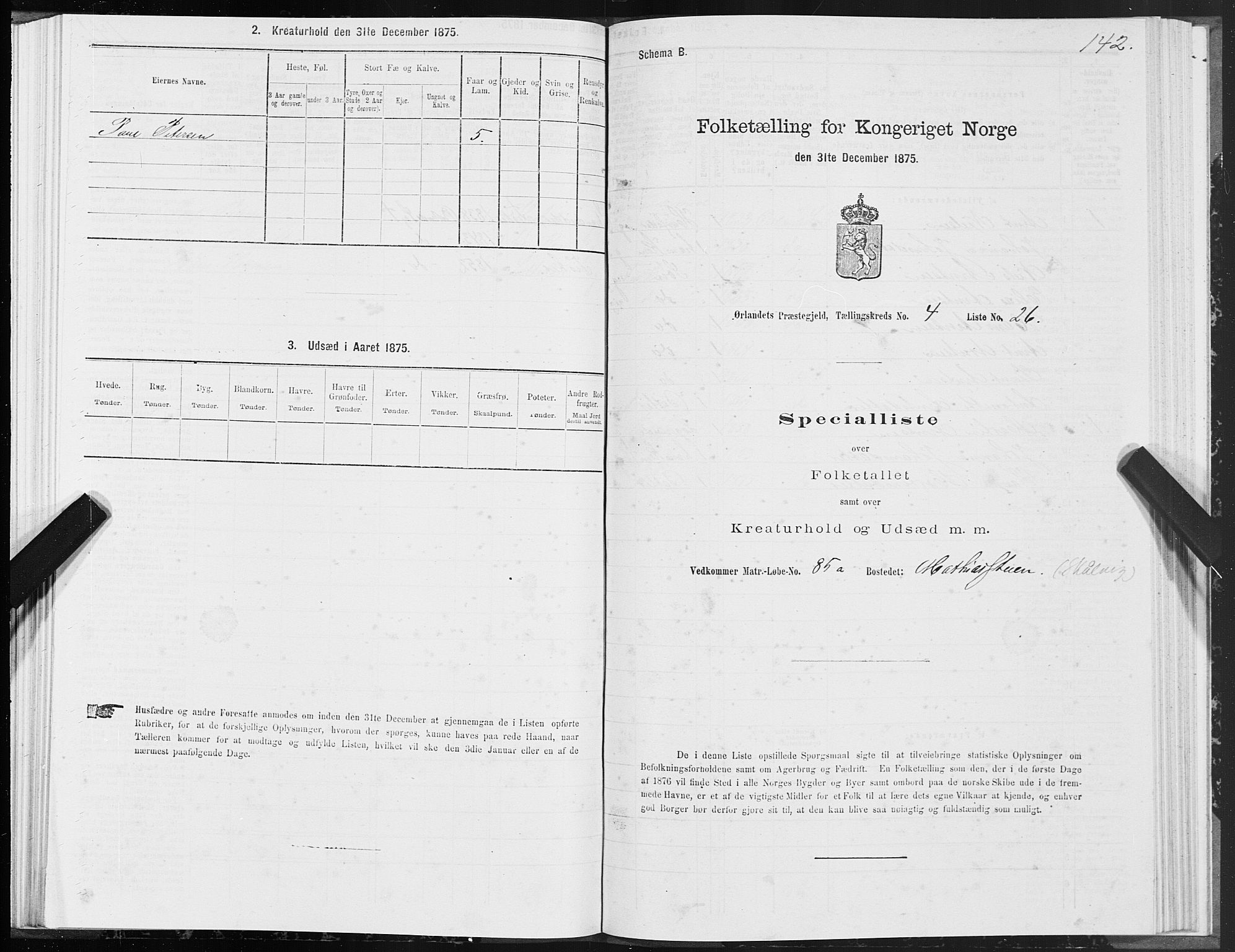SAT, Folketelling 1875 for 1621P Ørland prestegjeld, 1875, s. 2142