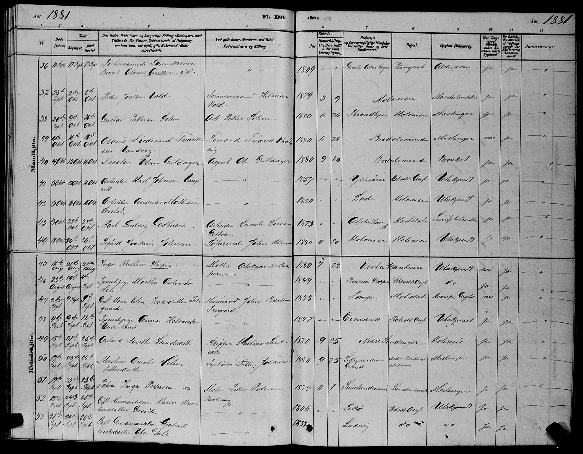 Ministerialprotokoller, klokkerbøker og fødselsregistre - Sør-Trøndelag, AV/SAT-A-1456/606/L0312: Klokkerbok nr. 606C08, 1878-1894