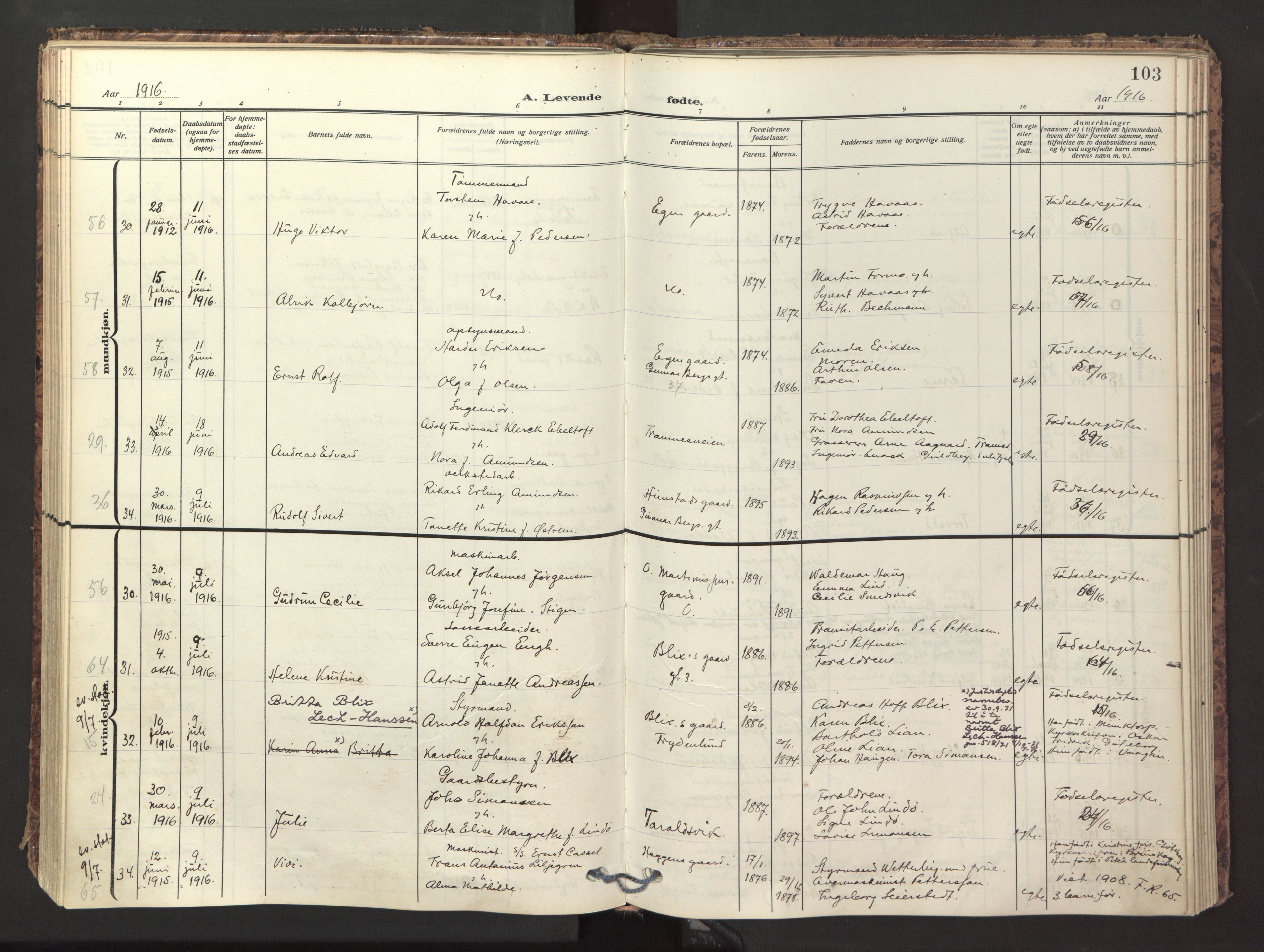 Ministerialprotokoller, klokkerbøker og fødselsregistre - Nordland, AV/SAT-A-1459/871/L1001: Ministerialbok nr. 871A17, 1911-1921, s. 103