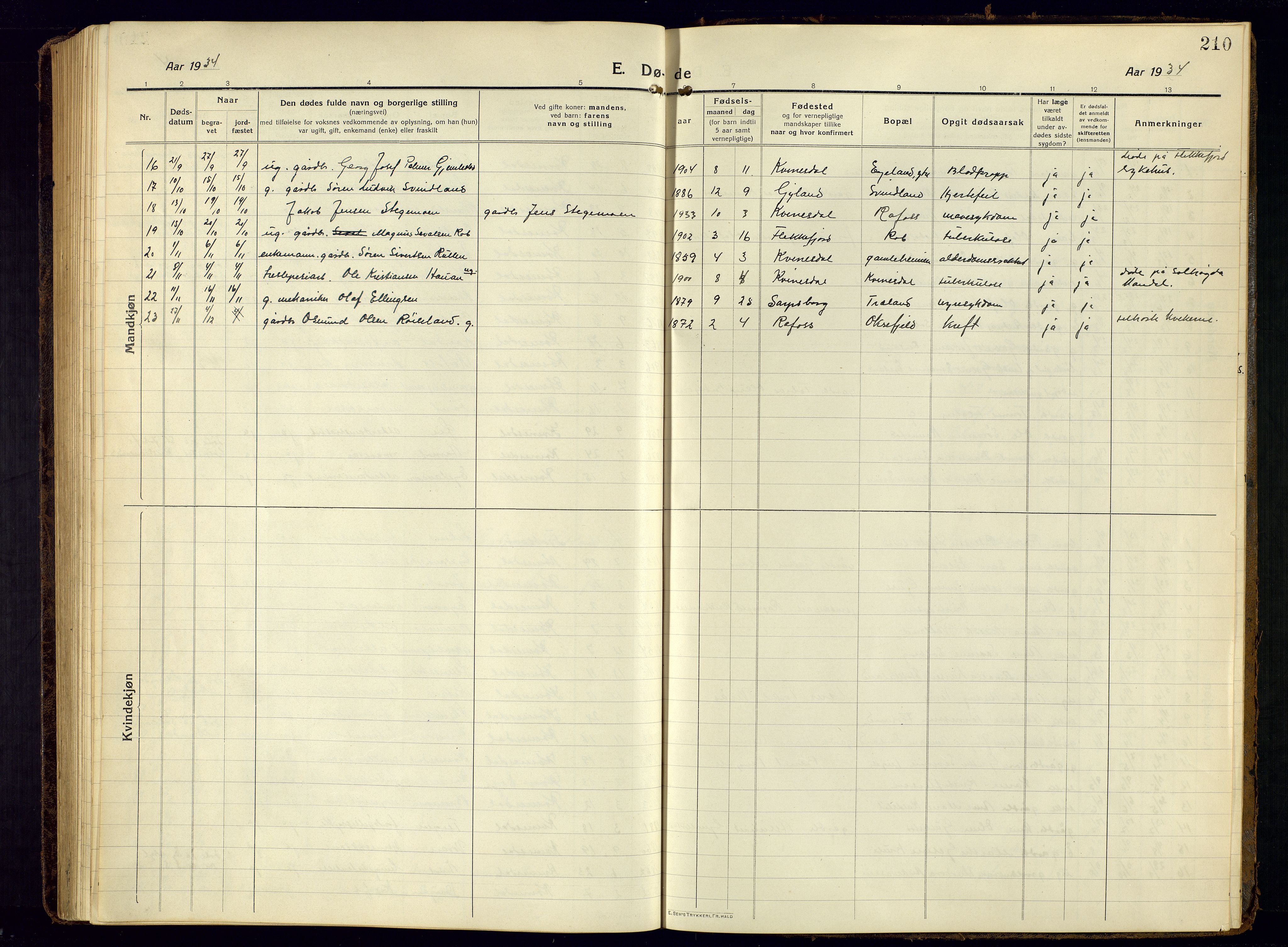 Kvinesdal sokneprestkontor, AV/SAK-1111-0026/F/Fb/Fbb/L0004: Klokkerbok nr. B 4, 1917-1938, s. 210