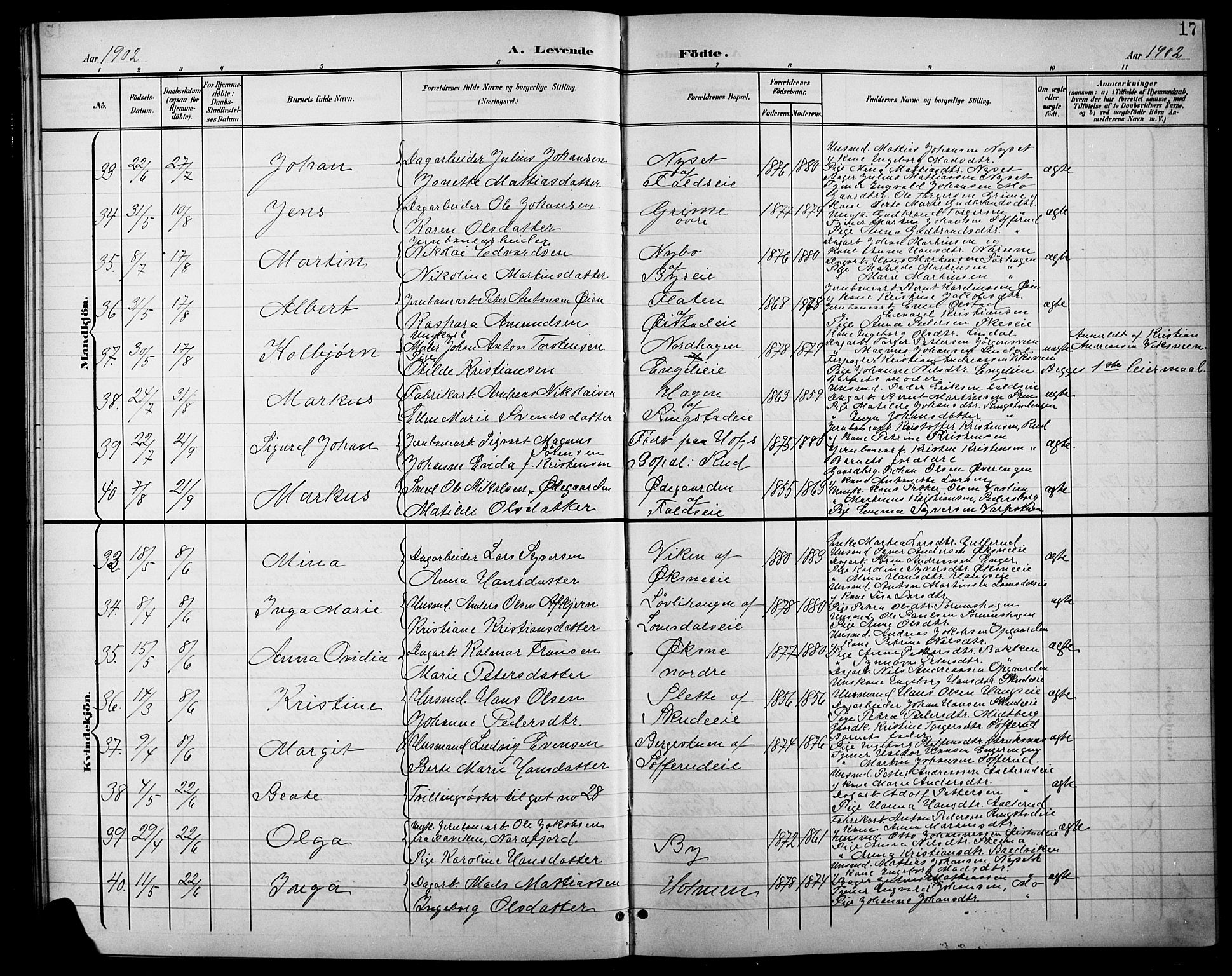 Søndre Land prestekontor, AV/SAH-PREST-122/L/L0004: Klokkerbok nr. 4, 1901-1915, s. 17