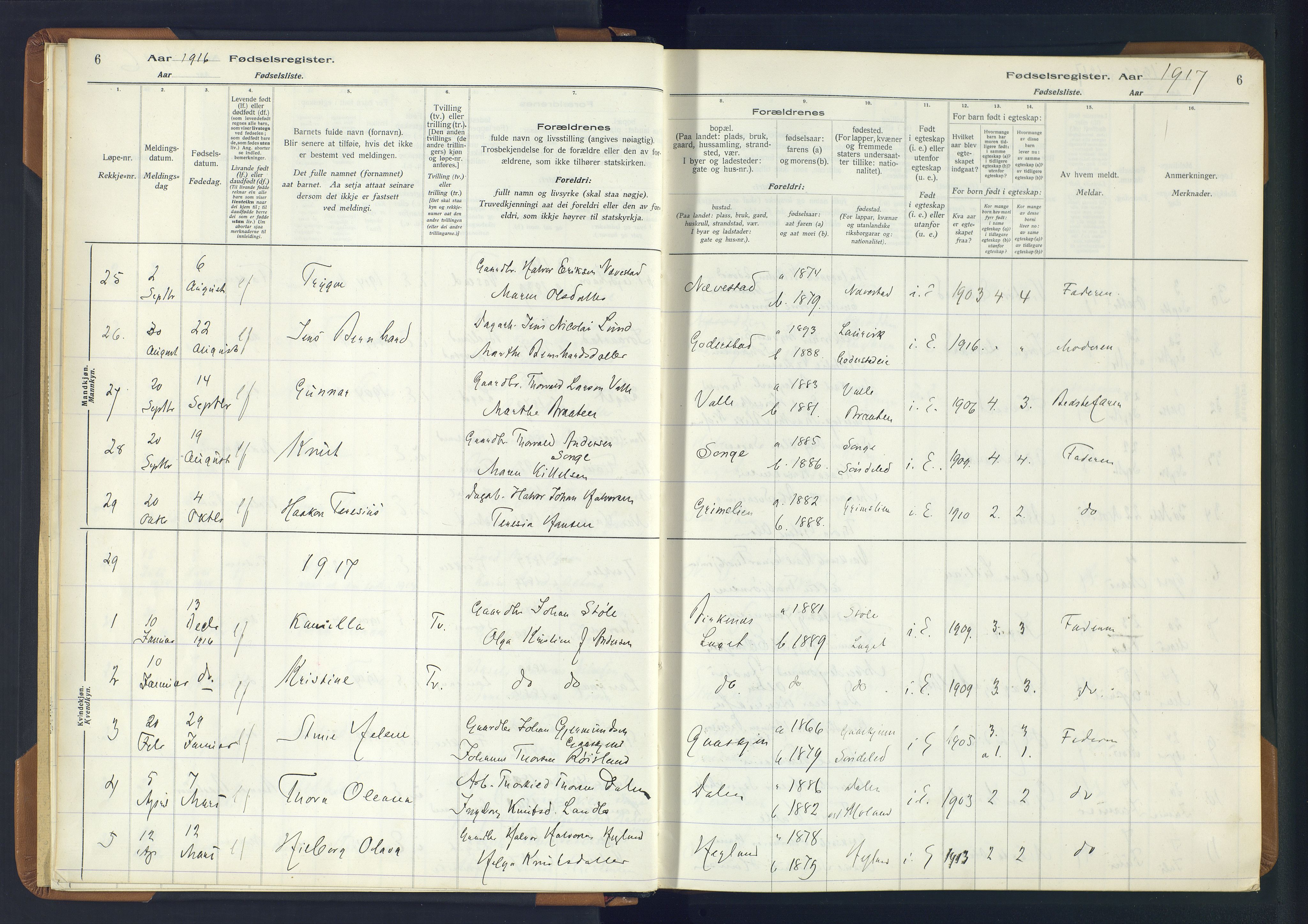 Holt sokneprestkontor, SAK/1111-0021/J/Ja/L0001: Fødselsregister nr. II.4.1, 1916-1946, s. 6