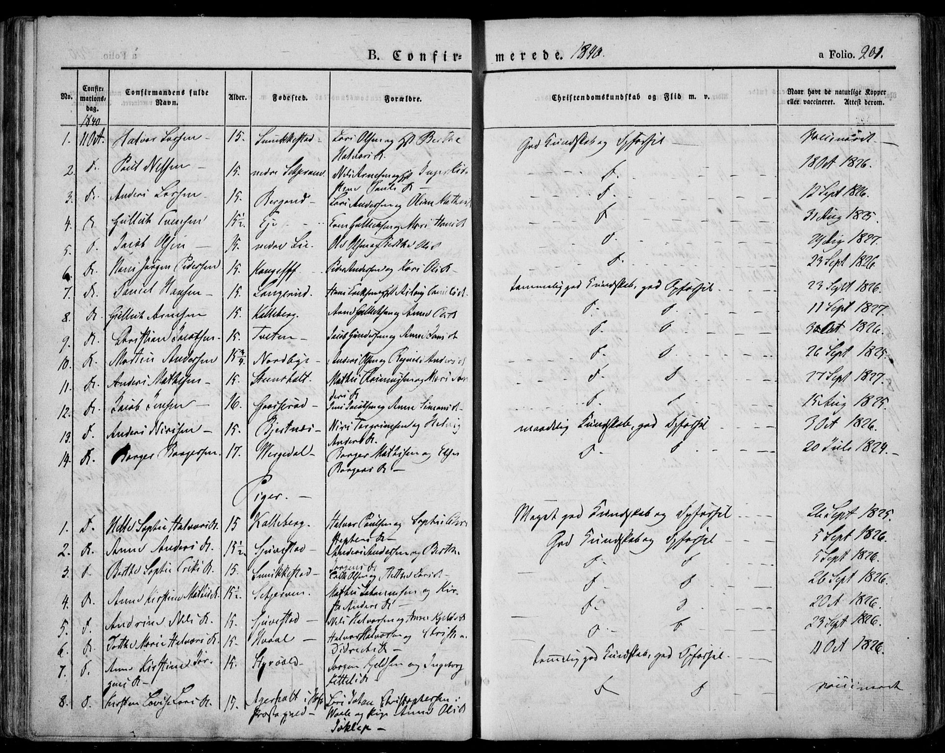 Lardal kirkebøker, AV/SAKO-A-350/F/Fa/L0006: Ministerialbok nr. I 6, 1835-1860, s. 201