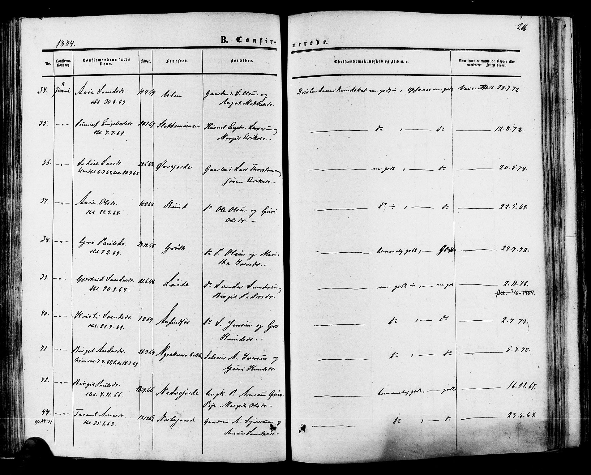 Hol kirkebøker, SAKO/A-227/F/Fa/L0002: Ministerialbok nr. I 2, 1870-1886, s. 216