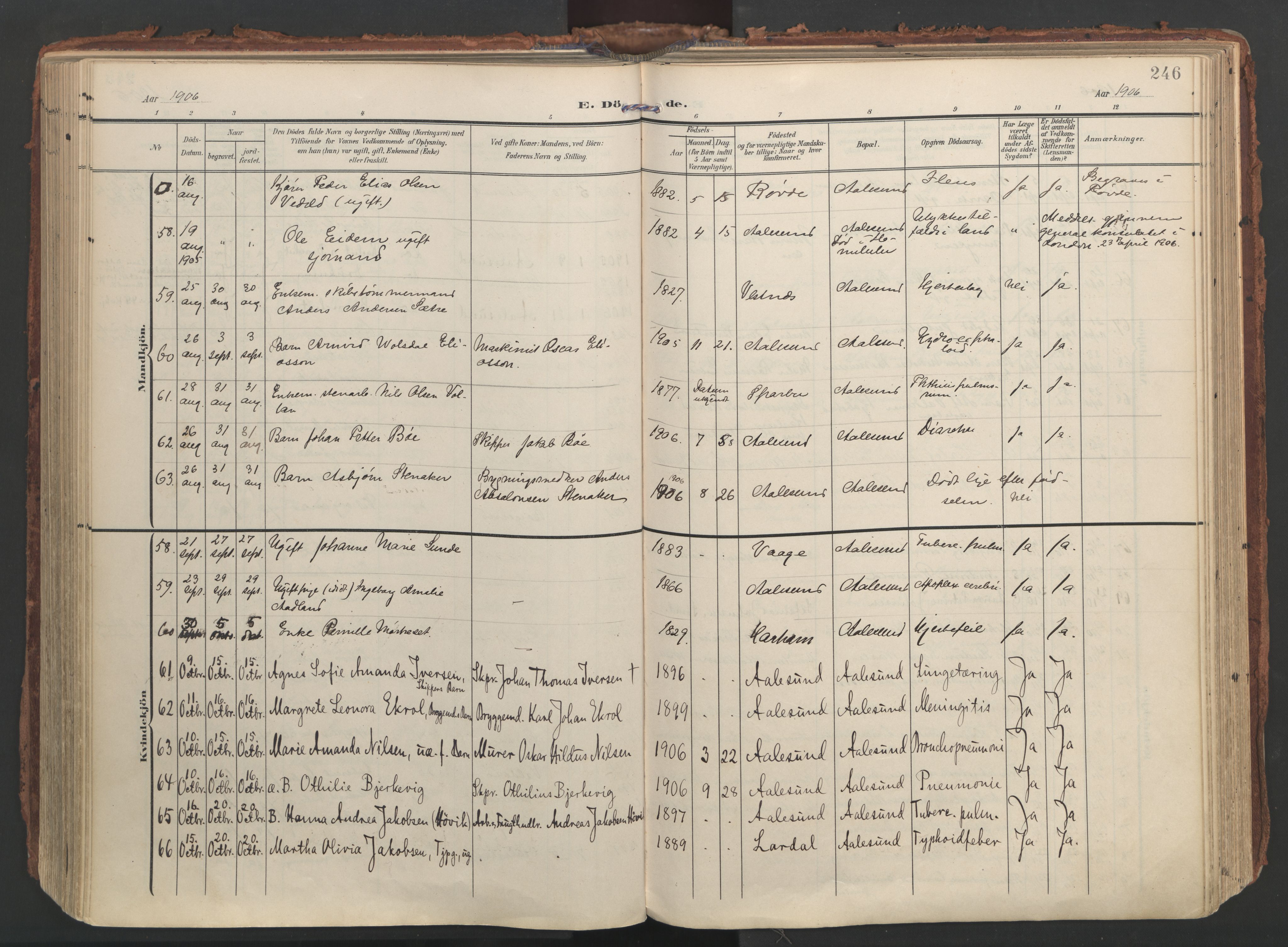Ministerialprotokoller, klokkerbøker og fødselsregistre - Møre og Romsdal, AV/SAT-A-1454/529/L0459: Ministerialbok nr. 529A09, 1904-1917, s. 246