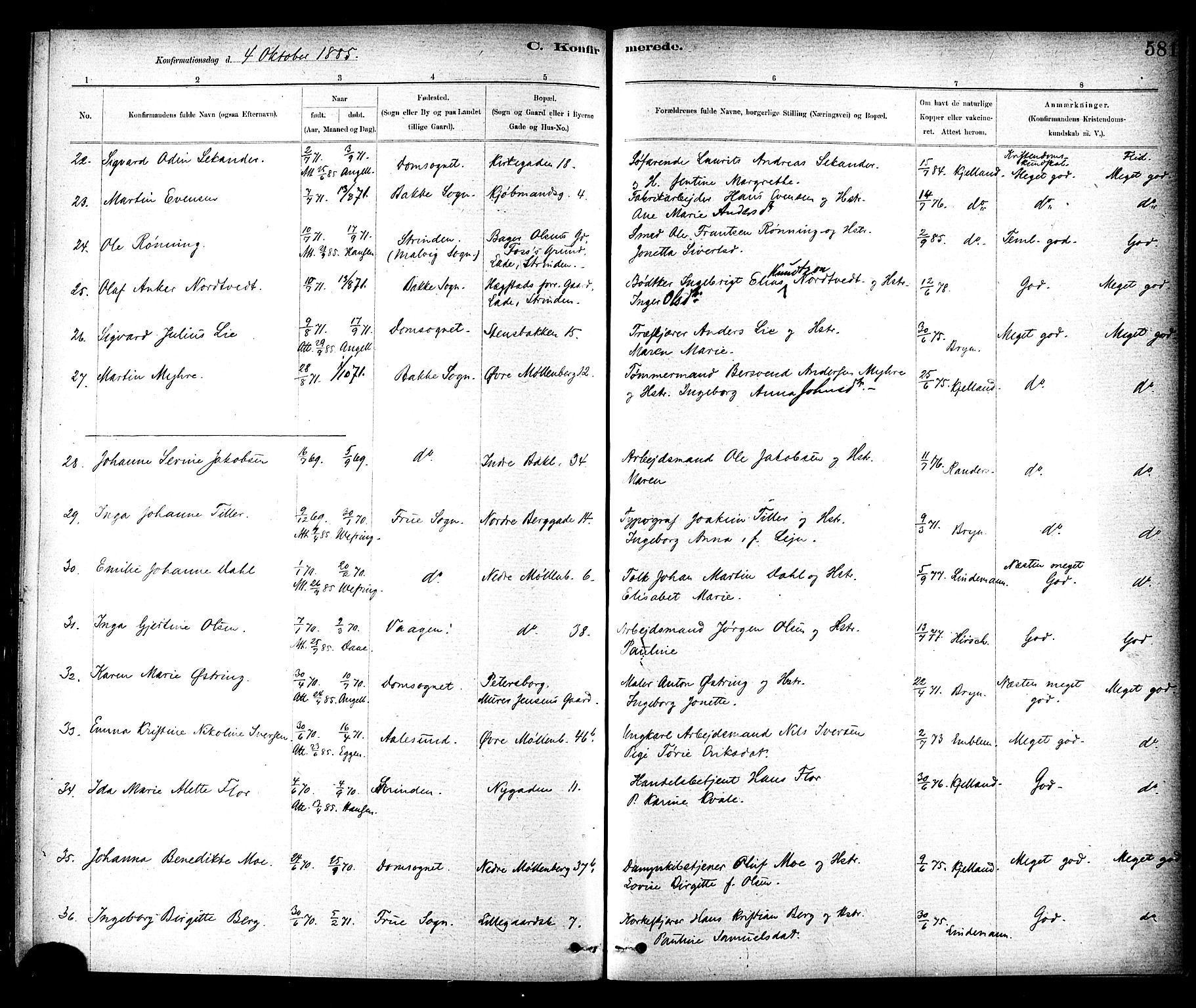 Ministerialprotokoller, klokkerbøker og fødselsregistre - Sør-Trøndelag, AV/SAT-A-1456/604/L0188: Ministerialbok nr. 604A09, 1878-1892, s. 582