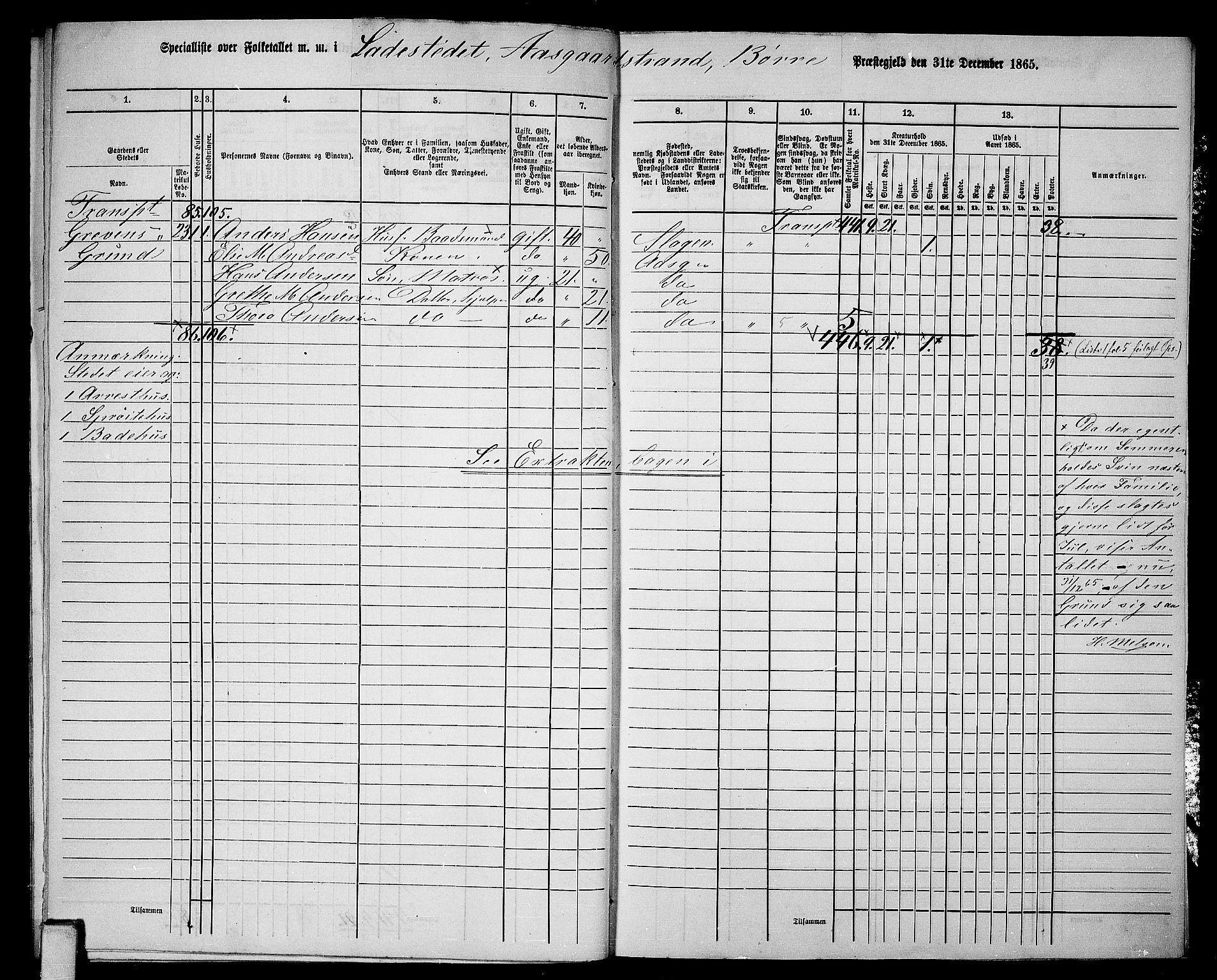 RA, Folketelling 1865 for 0717P Borre prestegjeld, Borre sokn og Nykirke sokn, 1865, s. 21