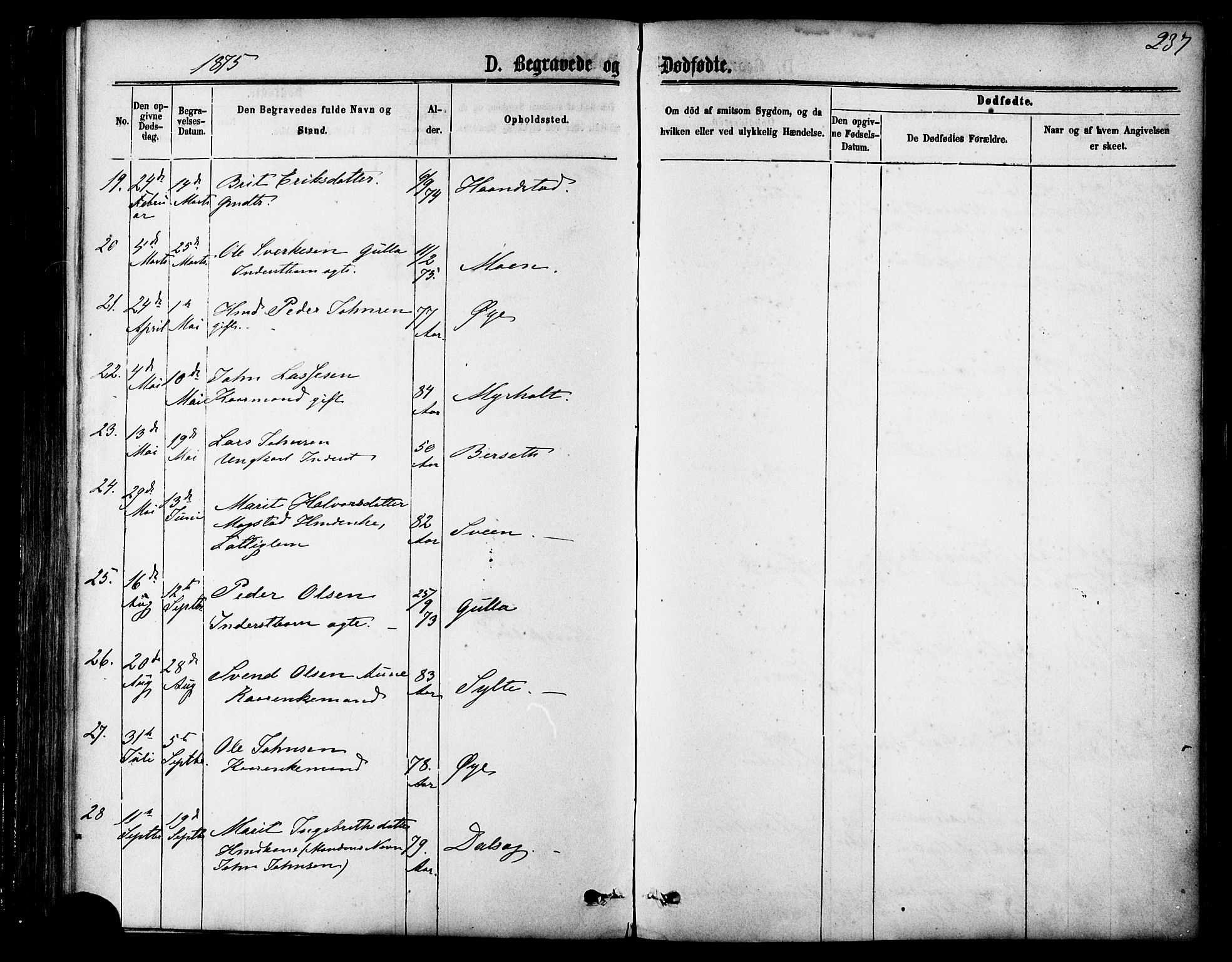 Ministerialprotokoller, klokkerbøker og fødselsregistre - Møre og Romsdal, AV/SAT-A-1454/595/L1046: Ministerialbok nr. 595A08, 1874-1884, s. 237