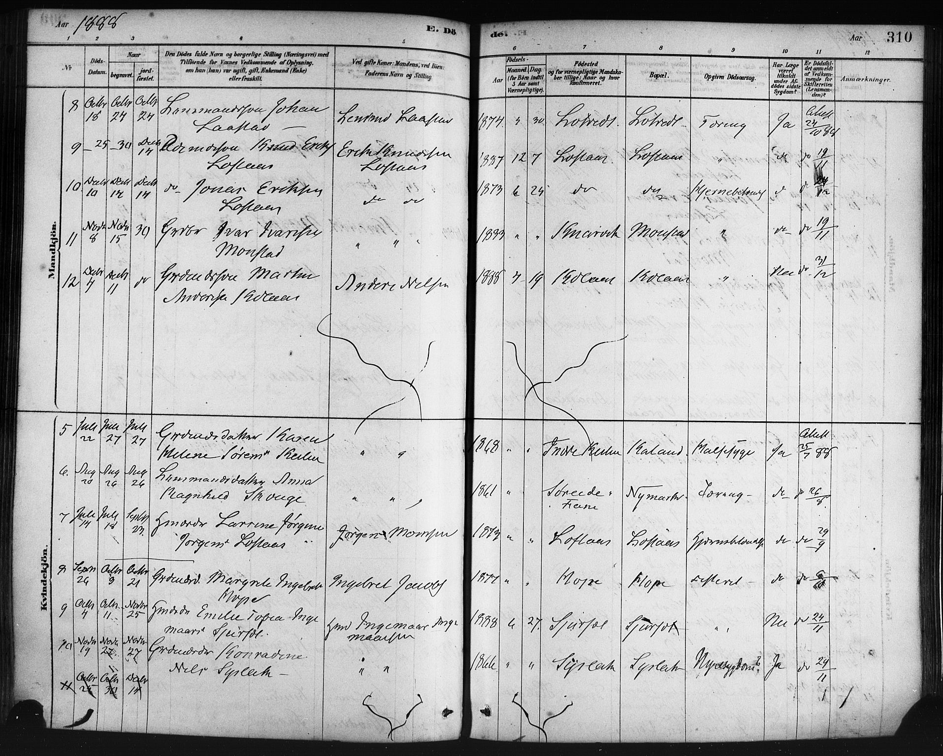 Lindås Sokneprestembete, AV/SAB-A-76701/H/Haa/Haaa/L0019: Ministerialbok nr. A 19, 1878-1912, s. 310