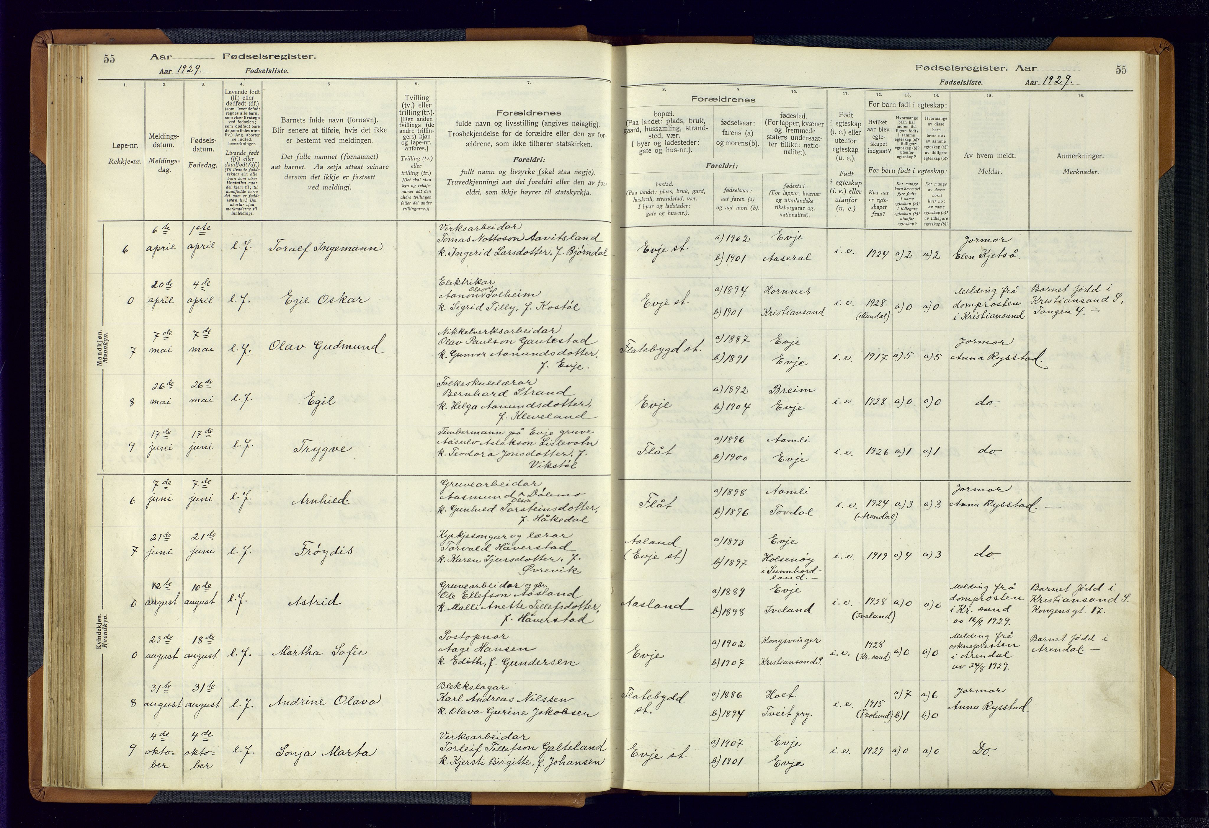 Evje sokneprestkontor, AV/SAK-1111-0008/J/Jc/L0004: Fødselsregister nr. 4, 1916-1968, s. 55