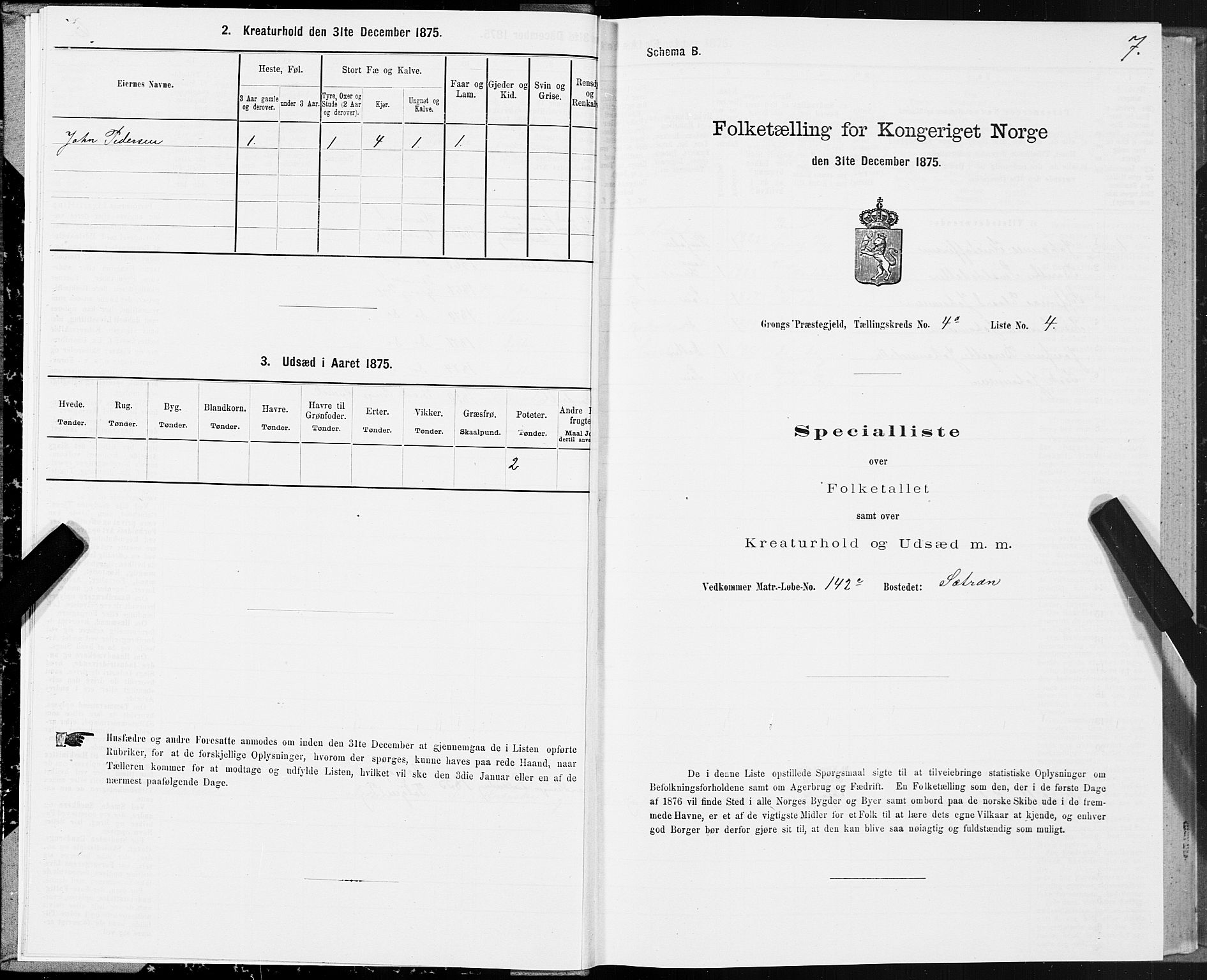 SAT, Folketelling 1875 for 1742P Grong prestegjeld, 1875, s. 3007