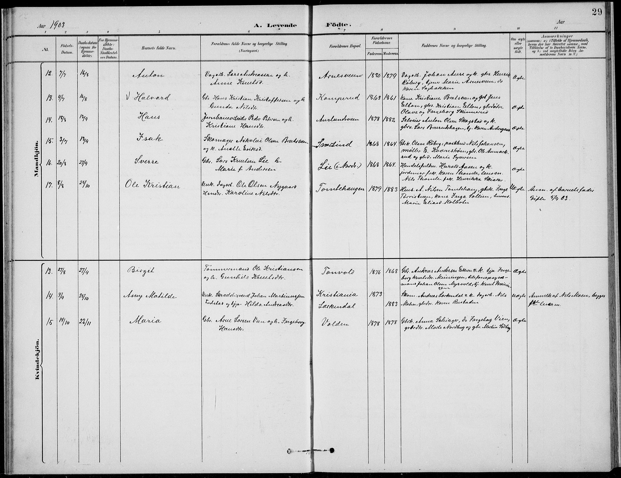 Nordre Land prestekontor, SAH/PREST-124/H/Ha/Hab/L0014: Klokkerbok nr. 14, 1891-1907, s. 29