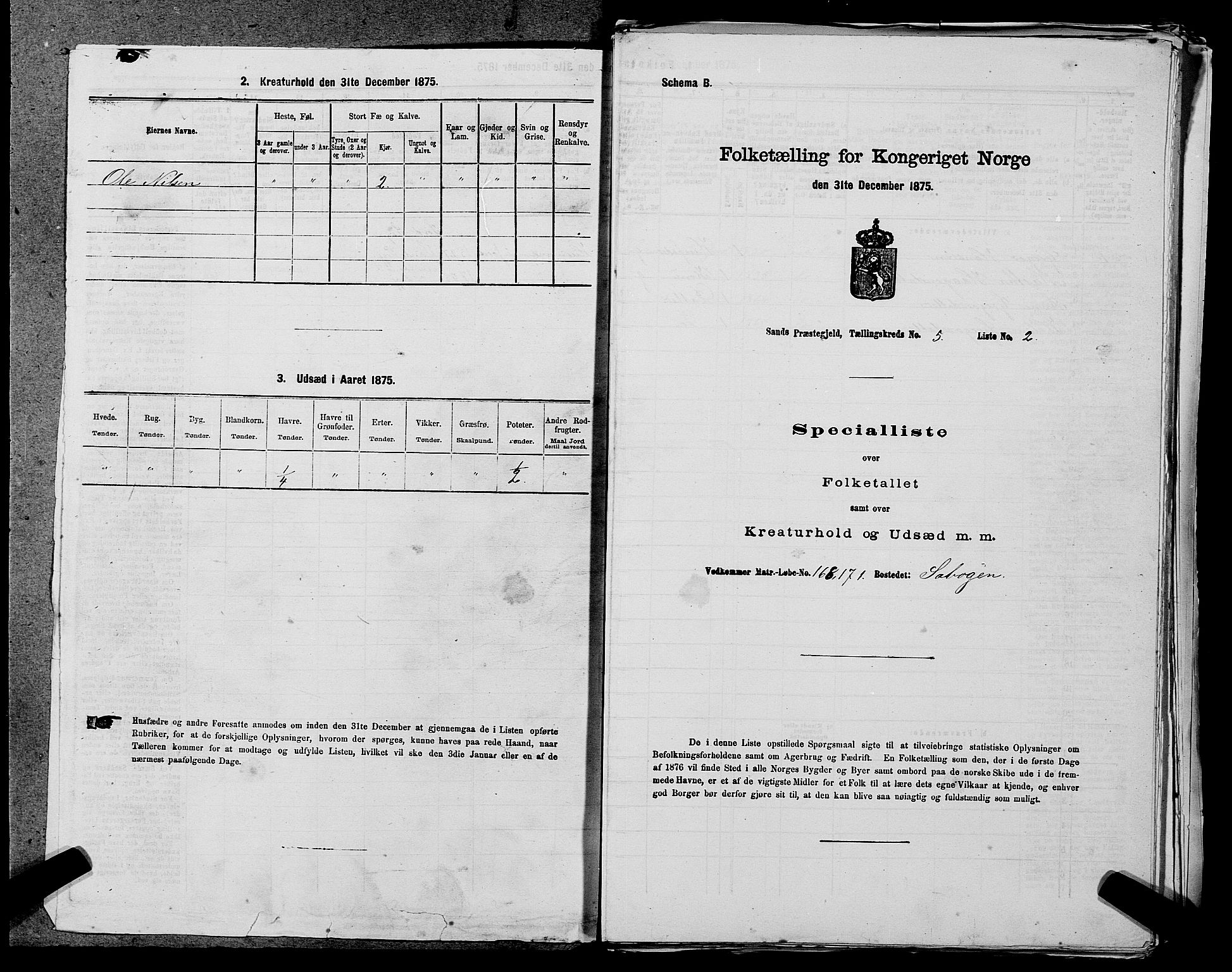 SAST, Folketelling 1875 for 1136P Sand prestegjeld, 1875, s. 1437