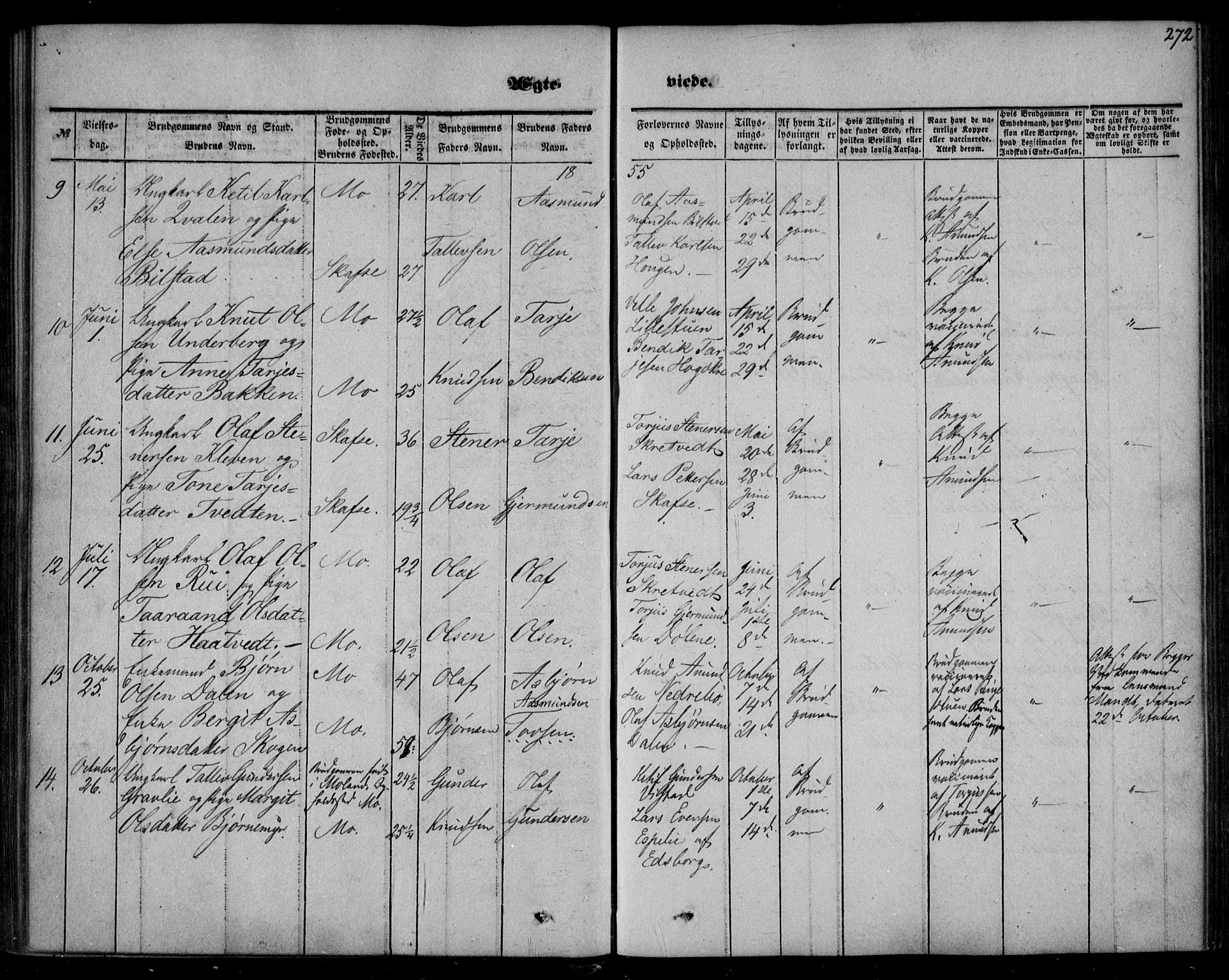 Mo kirkebøker, AV/SAKO-A-286/F/Fa/L0005: Ministerialbok nr. I 5, 1844-1864, s. 272